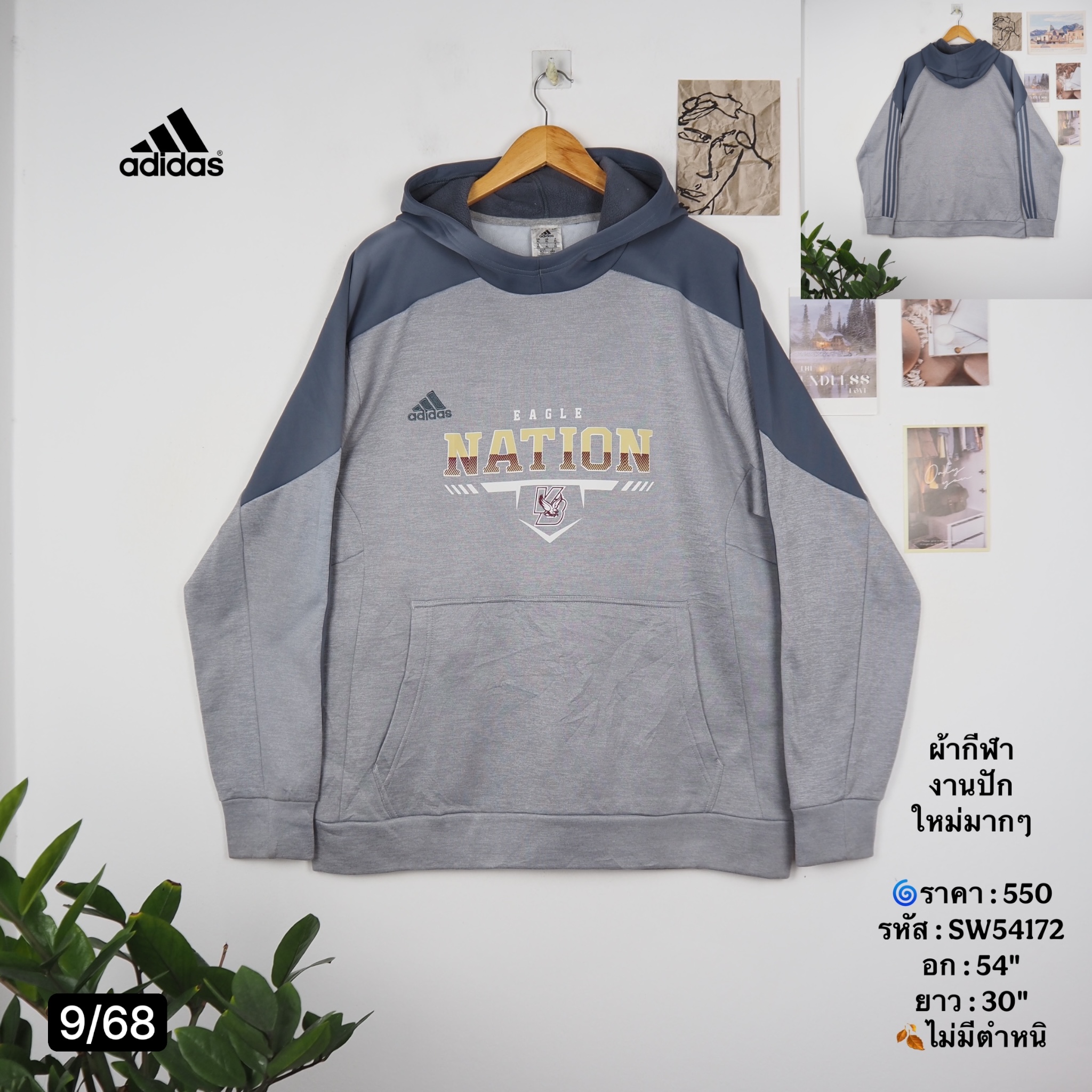SW54172