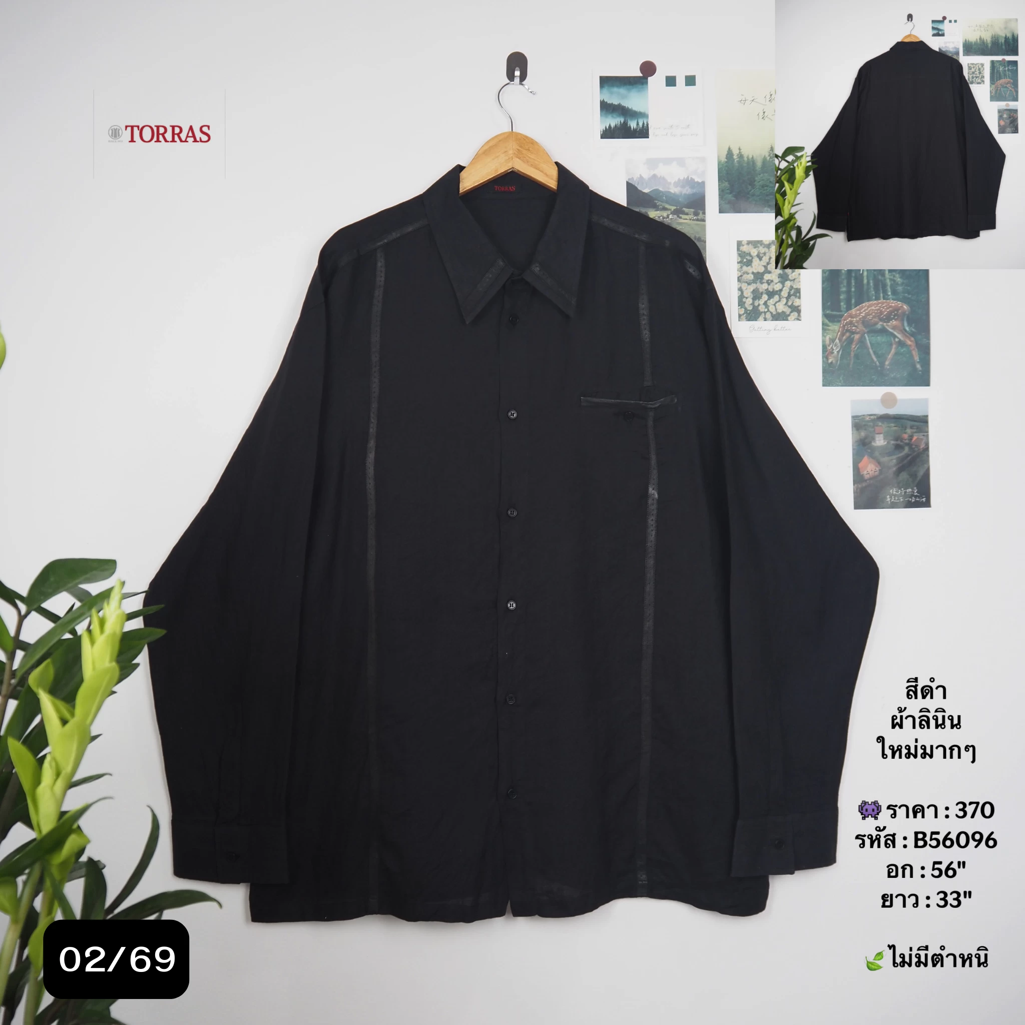 B56096