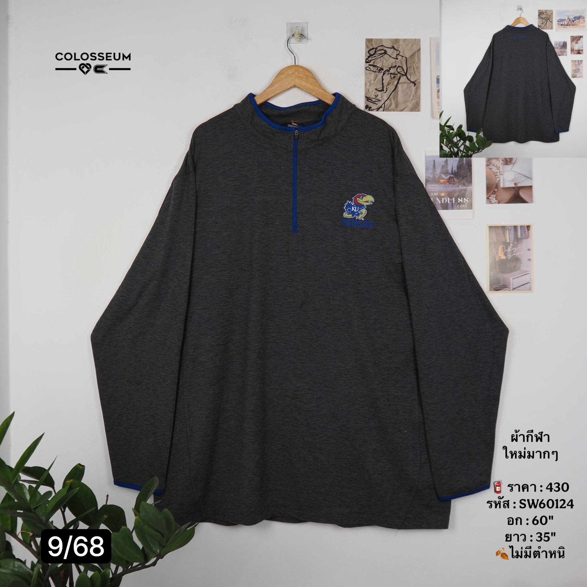SW60124