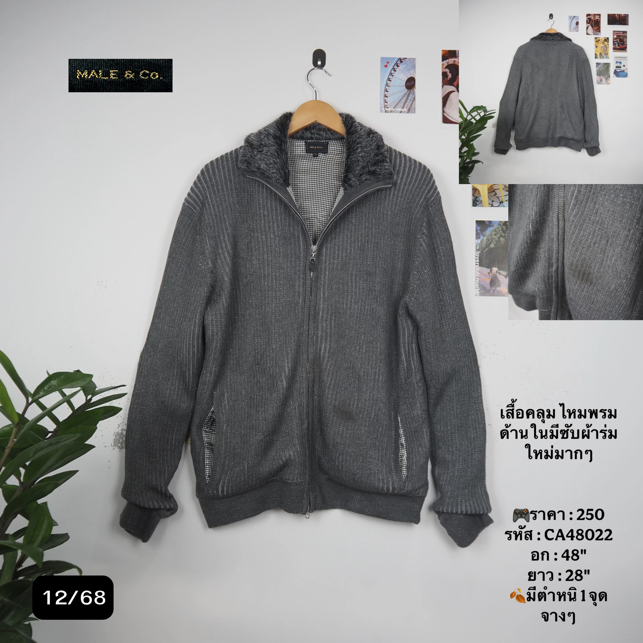 CA48022