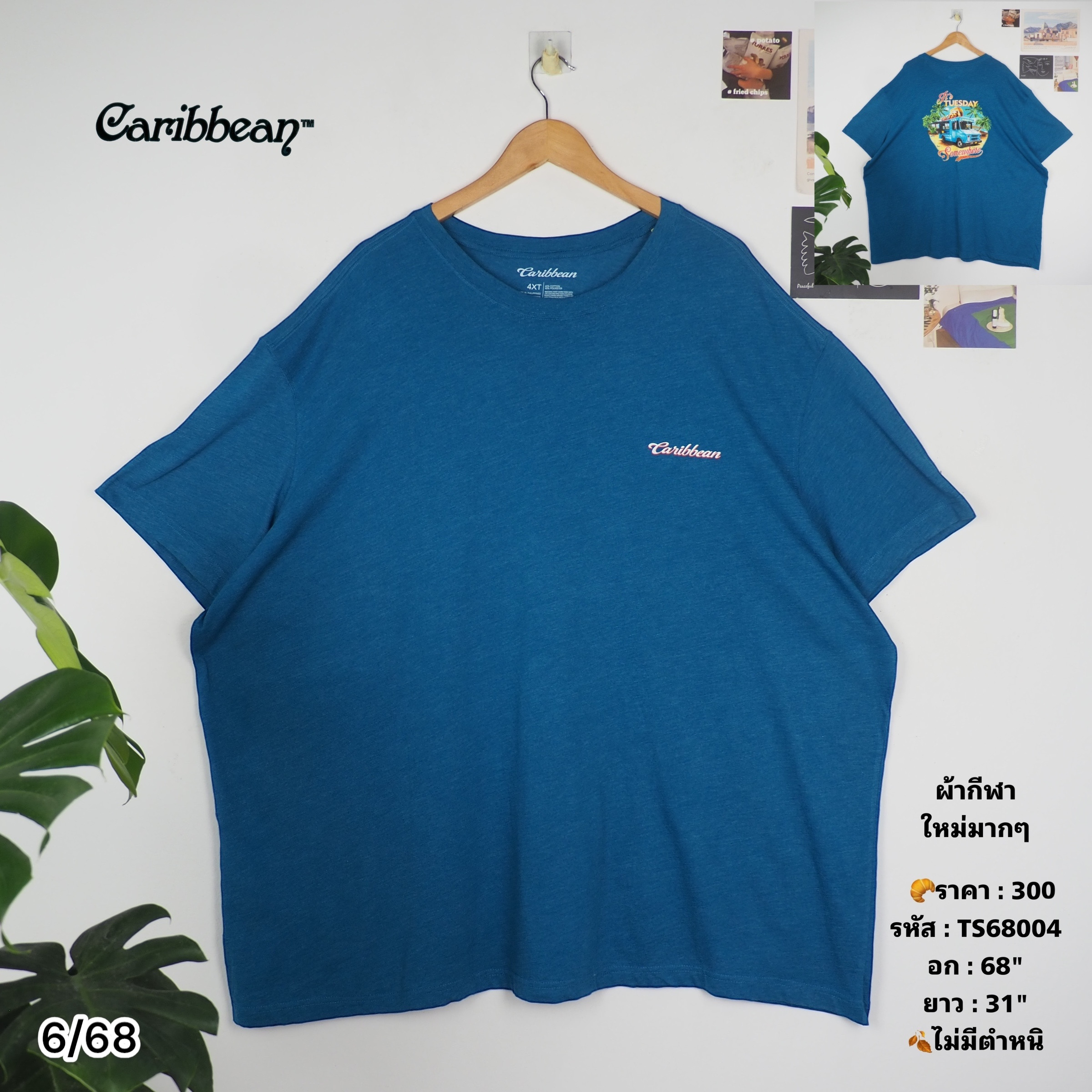 TS68004