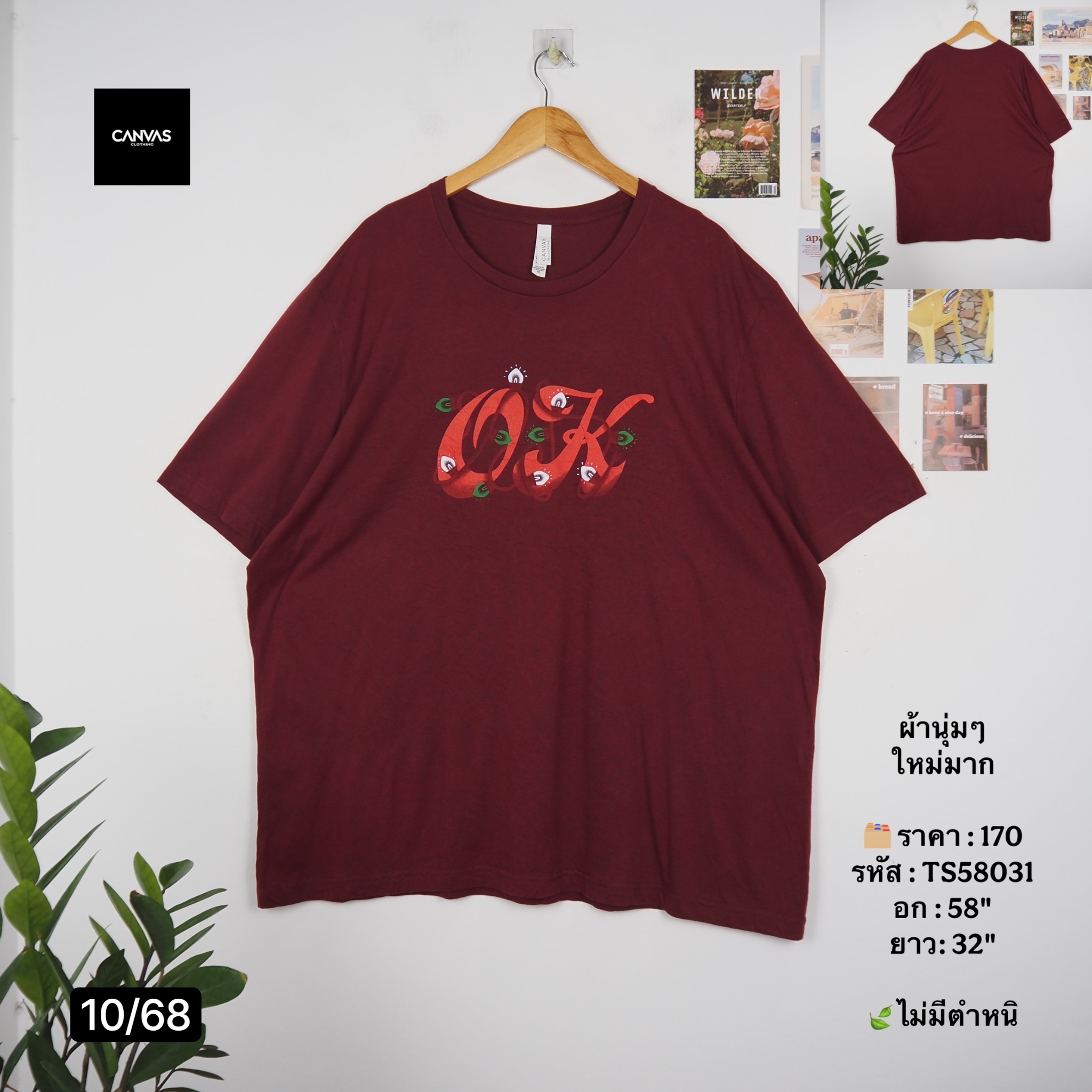 TS58031