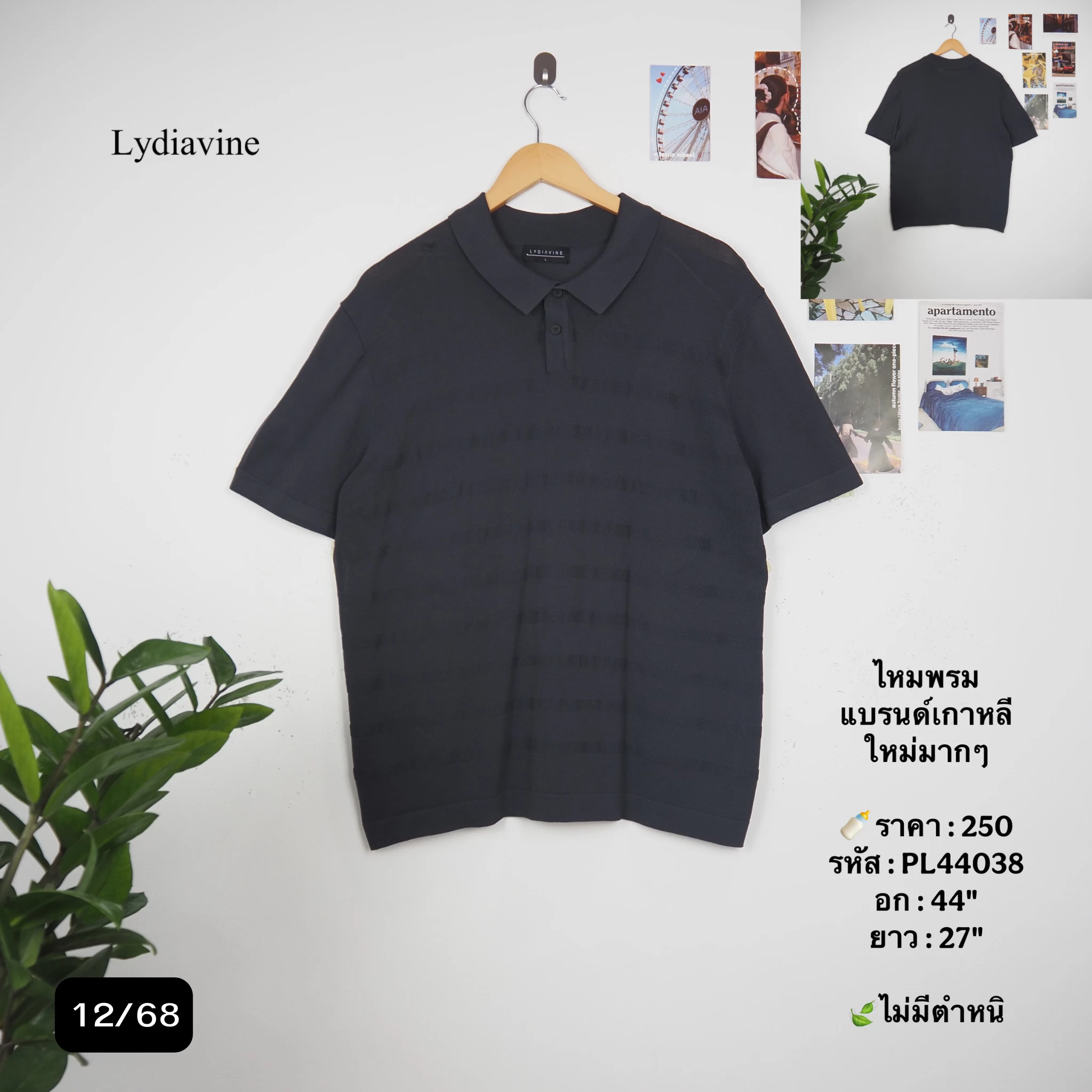 PL44038
