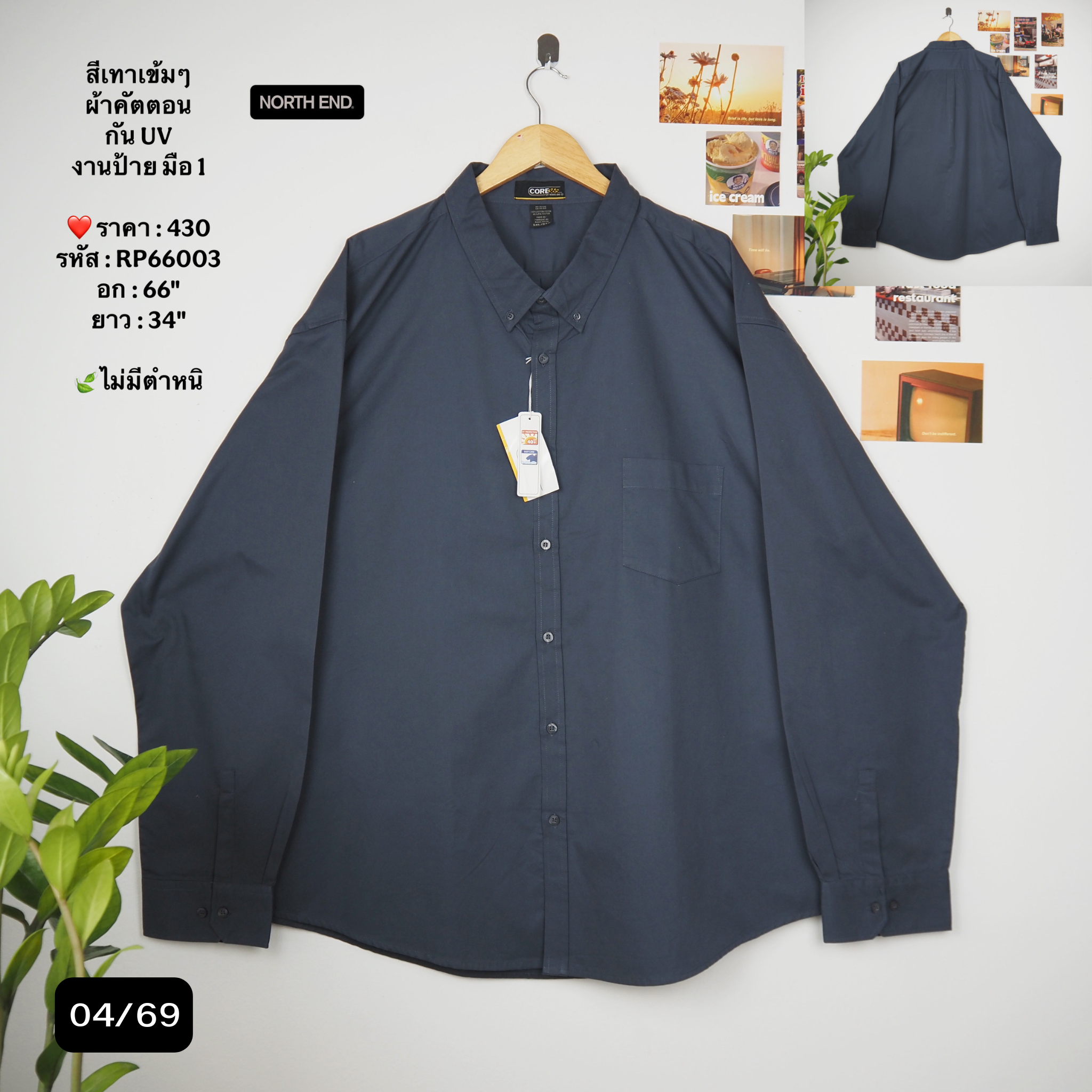 RP66003