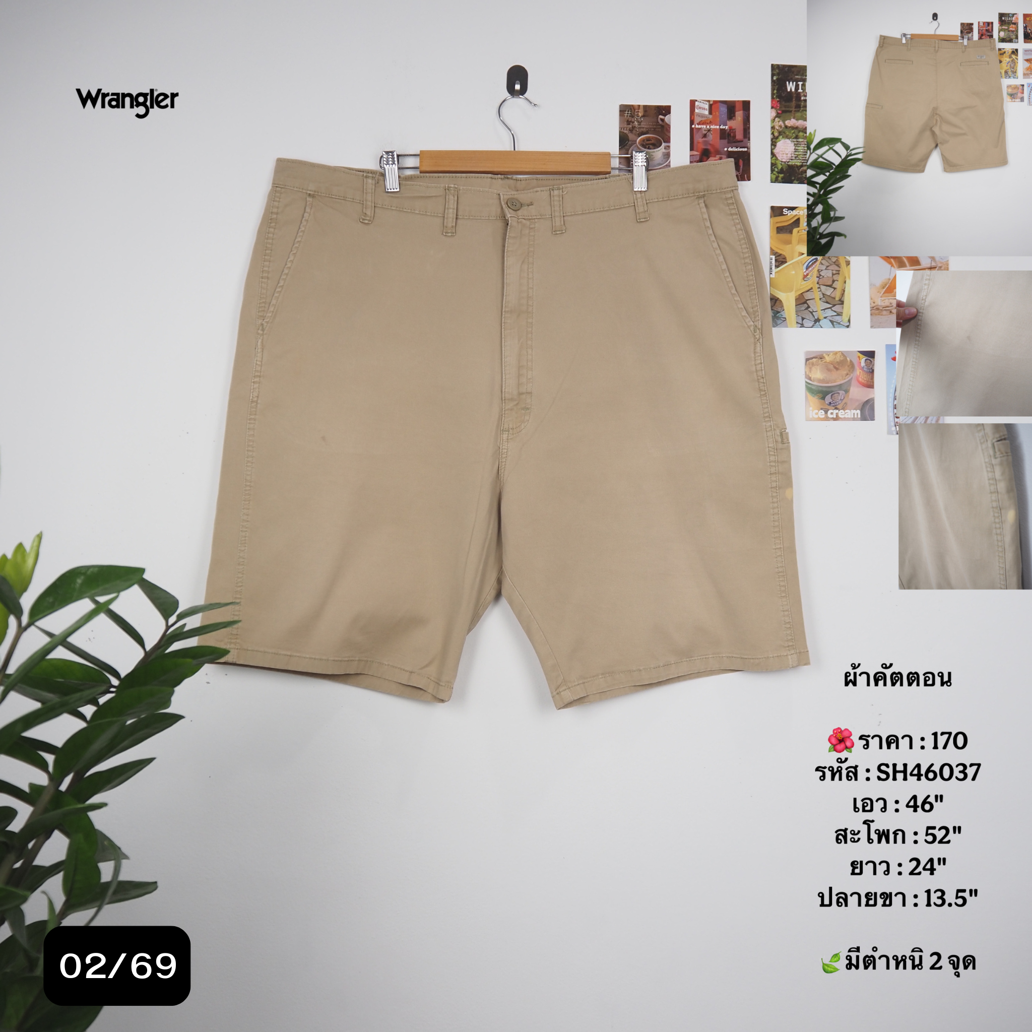 SH46037
