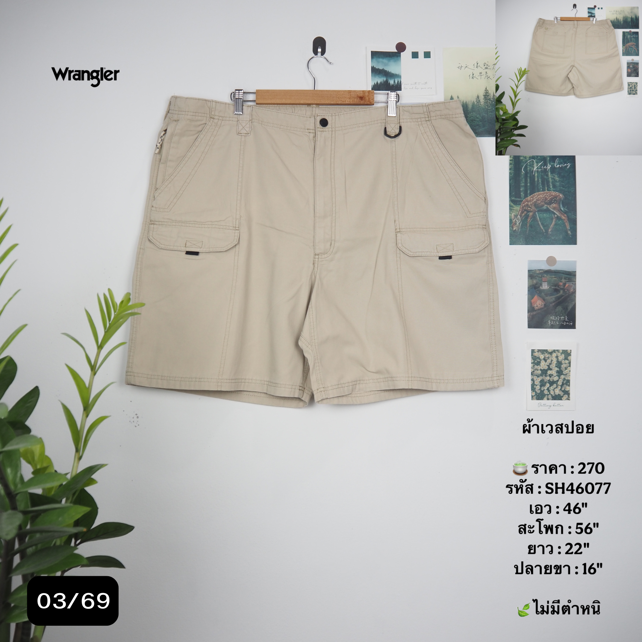 SH46077