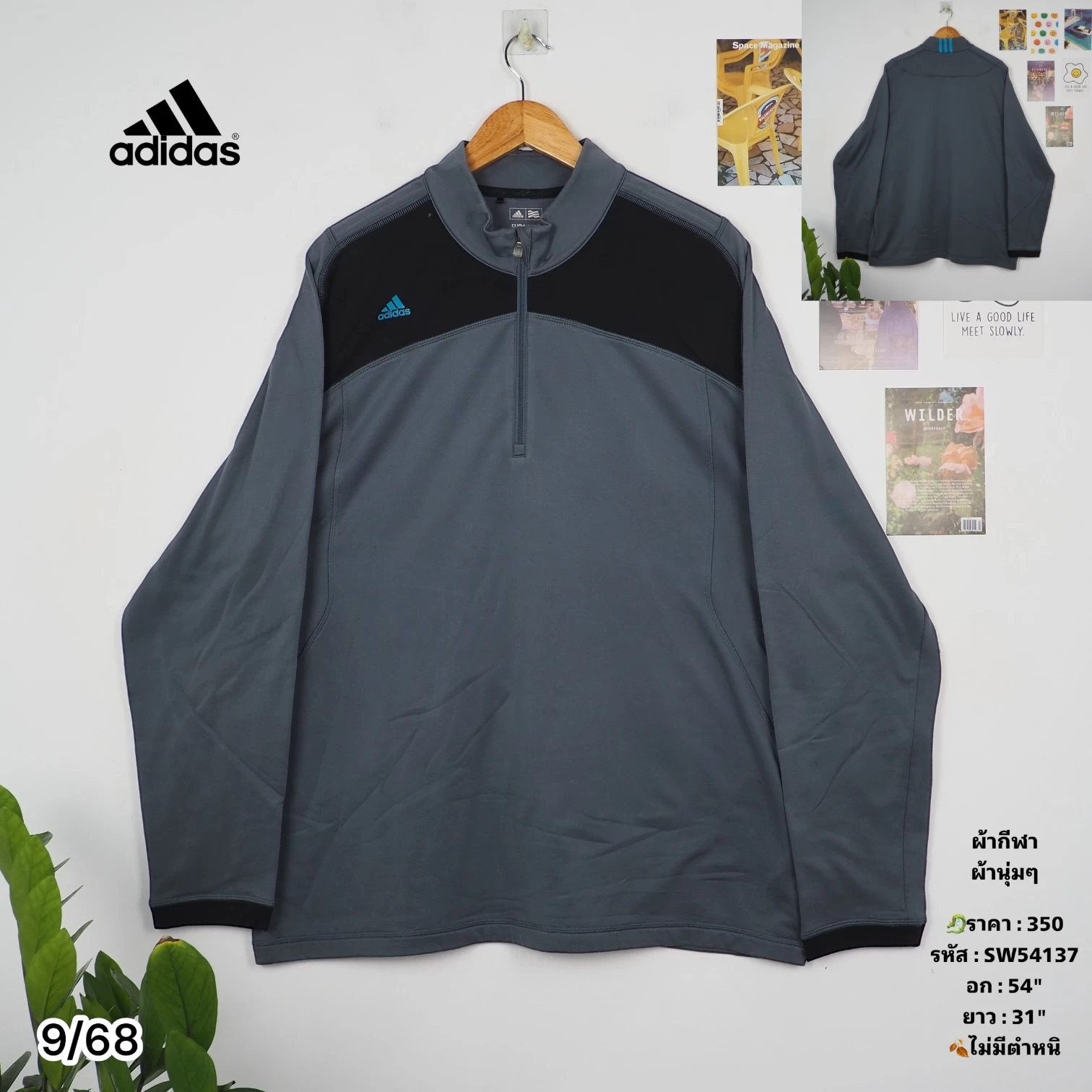 SW54137