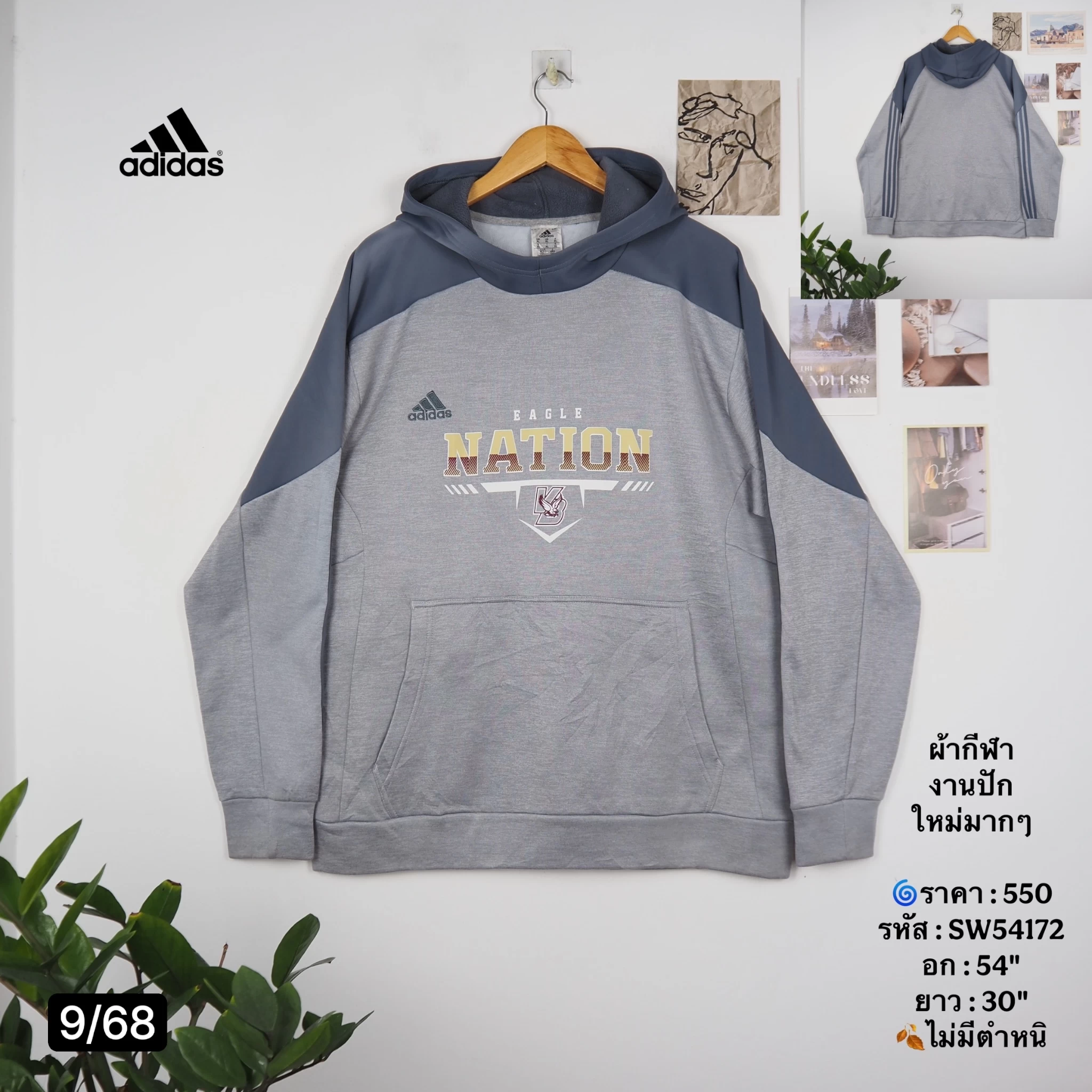 SW54172
