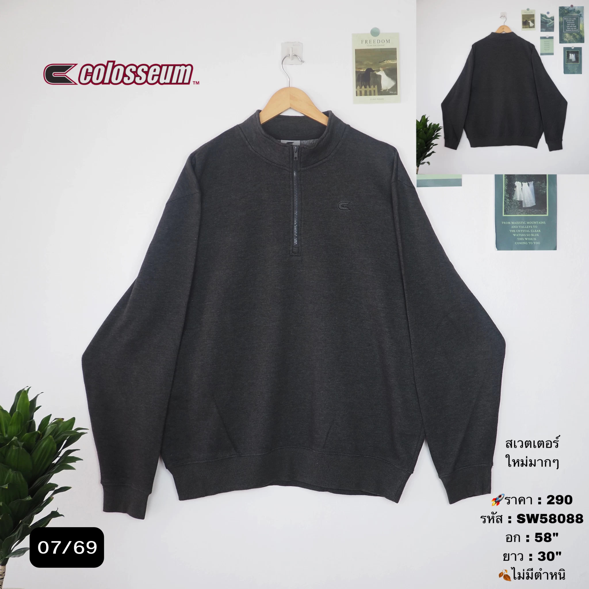 SW58088