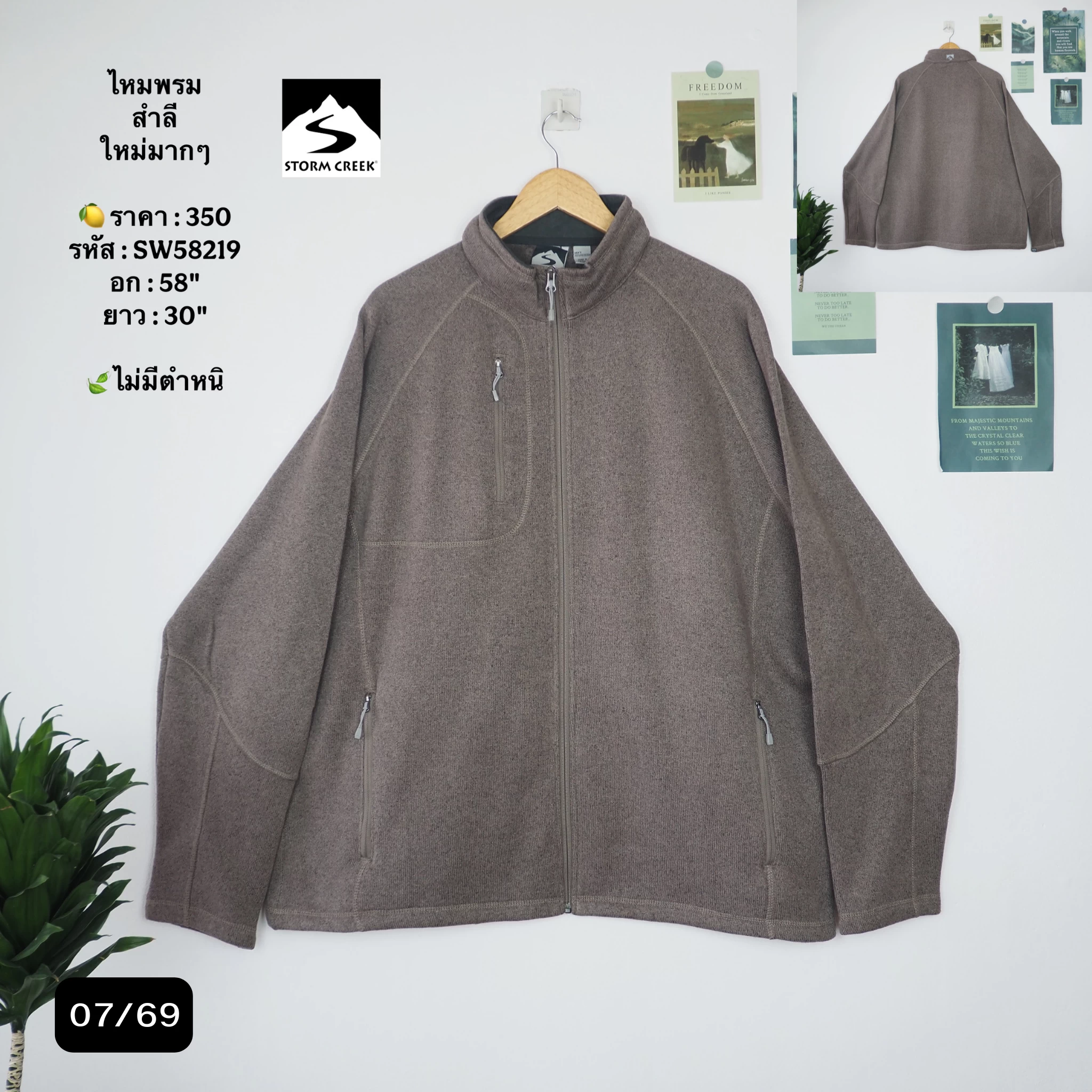 SW58219