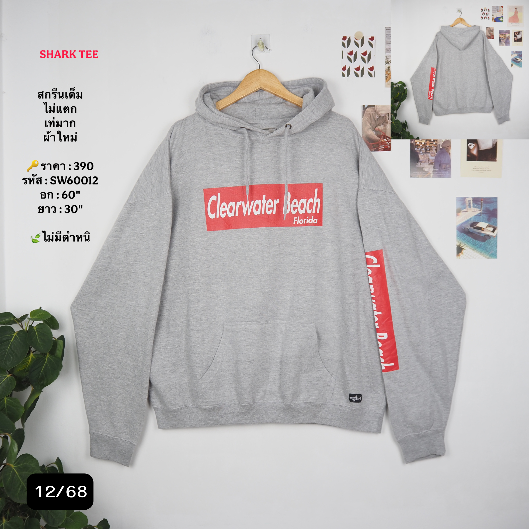 SW60012