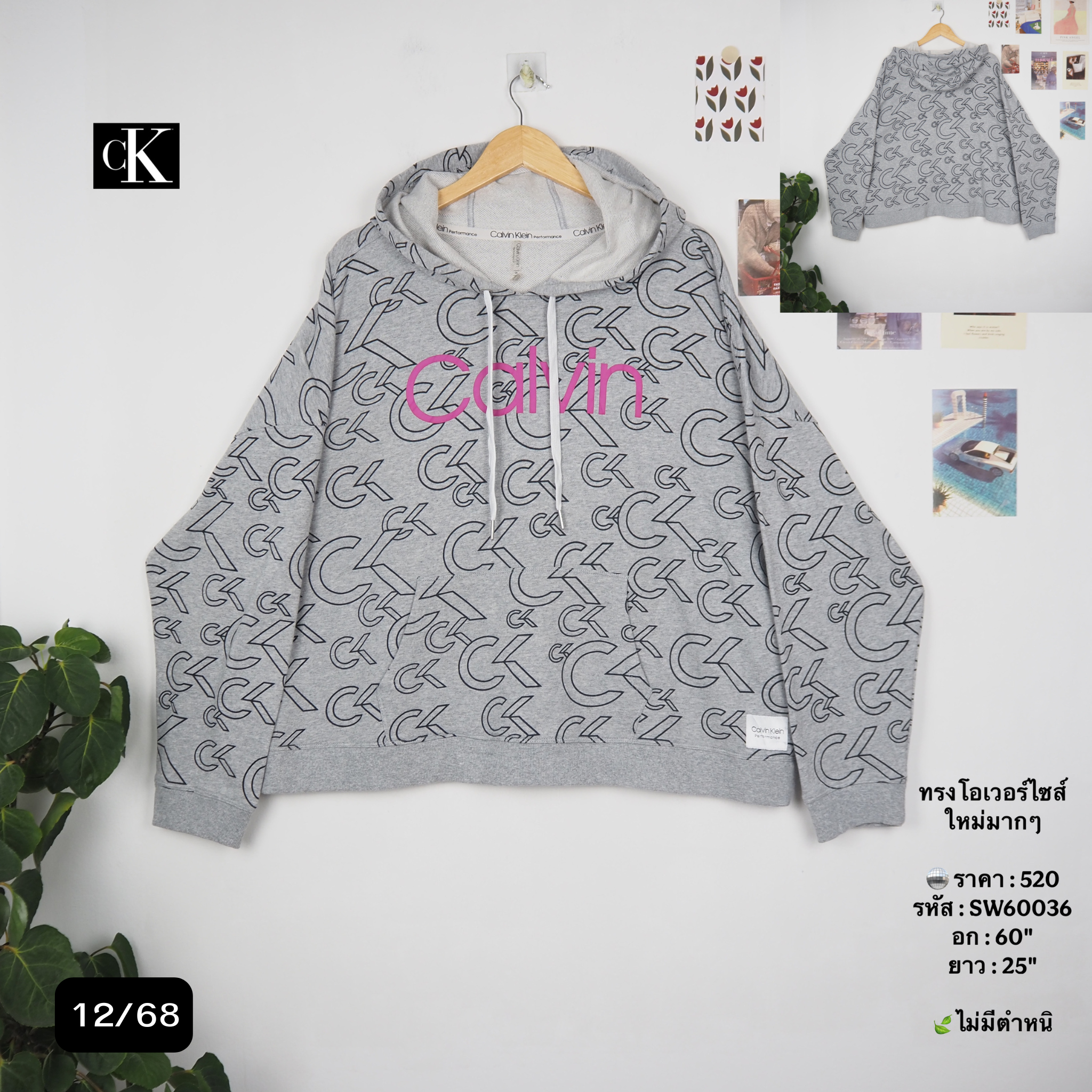 SW60036
