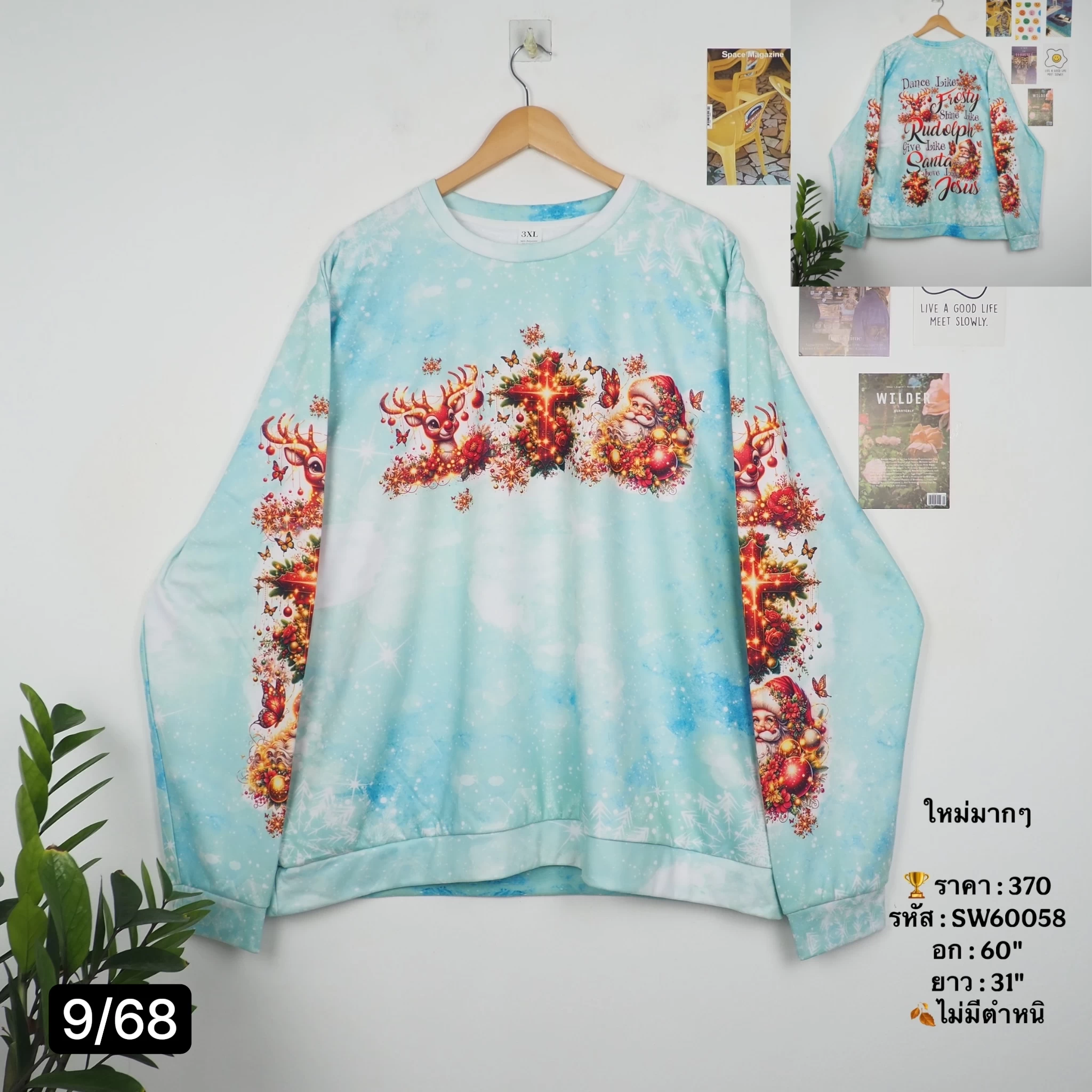 SW60058