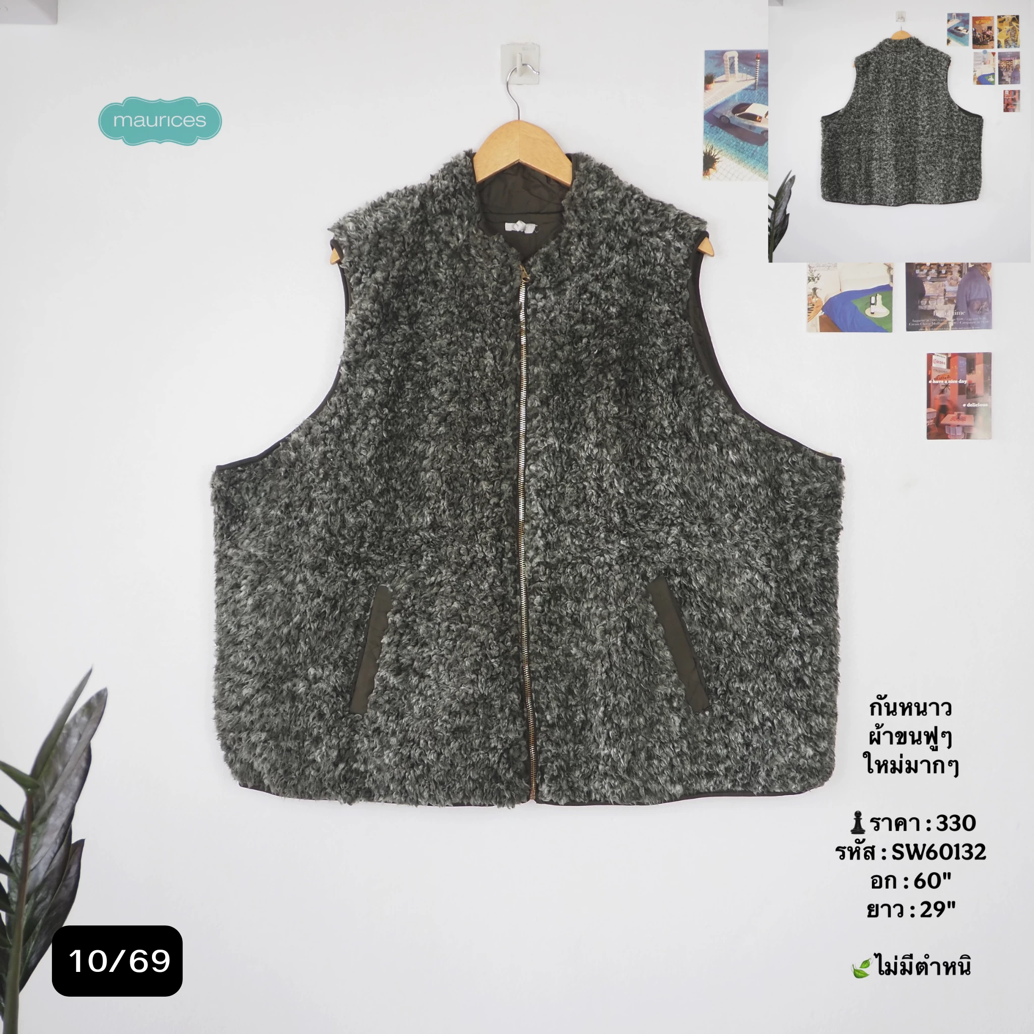 SW60132