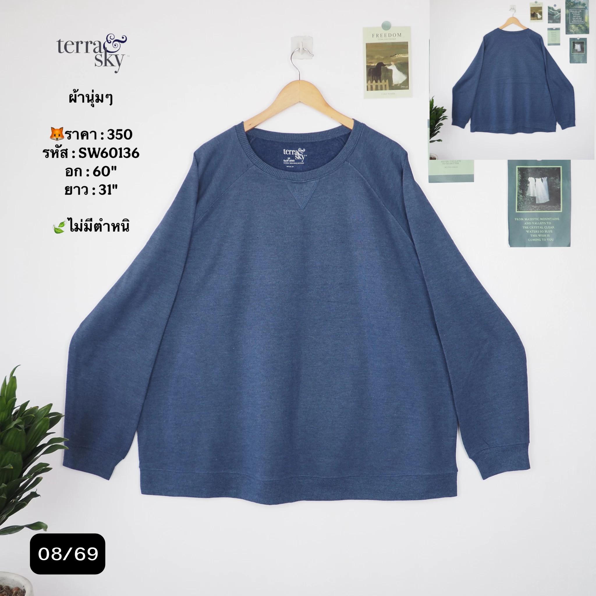SW60136