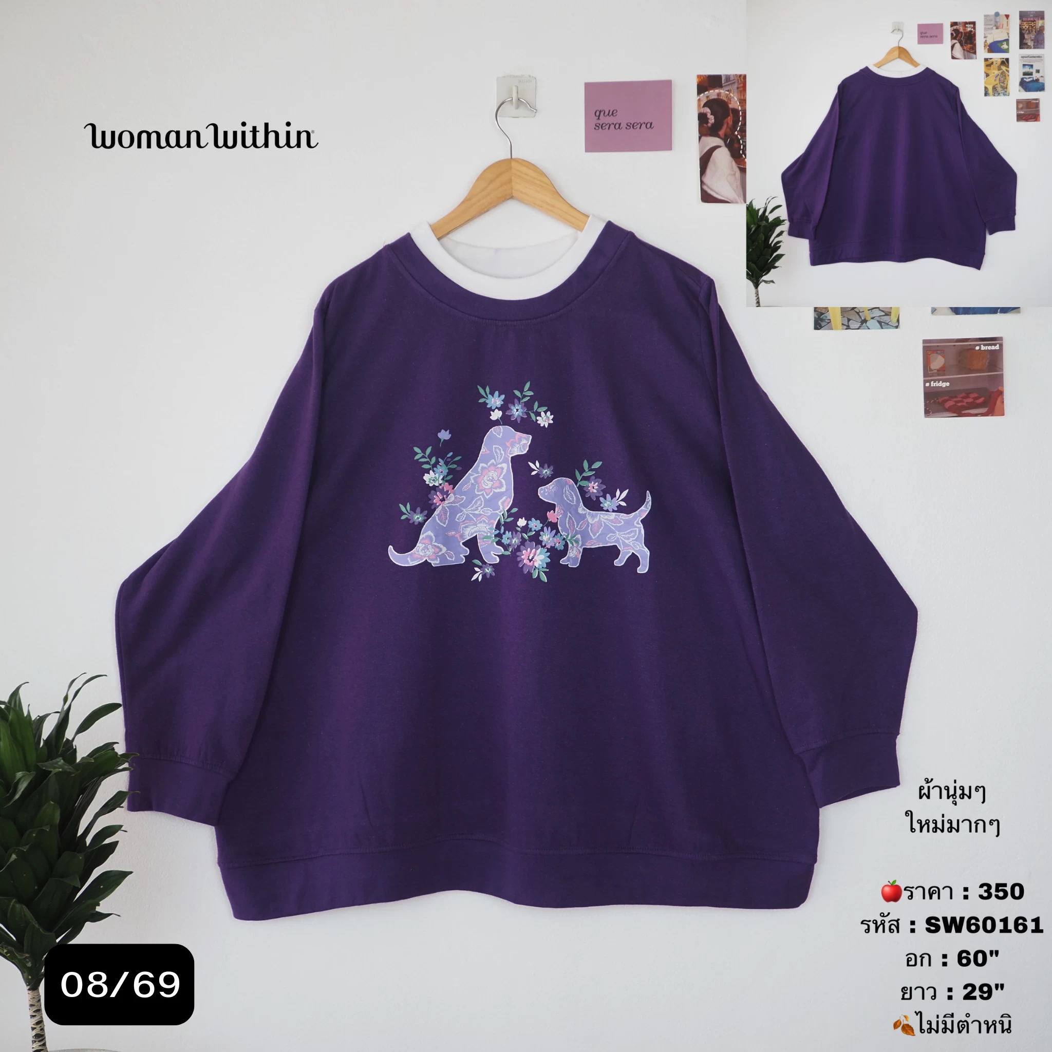 SW60161