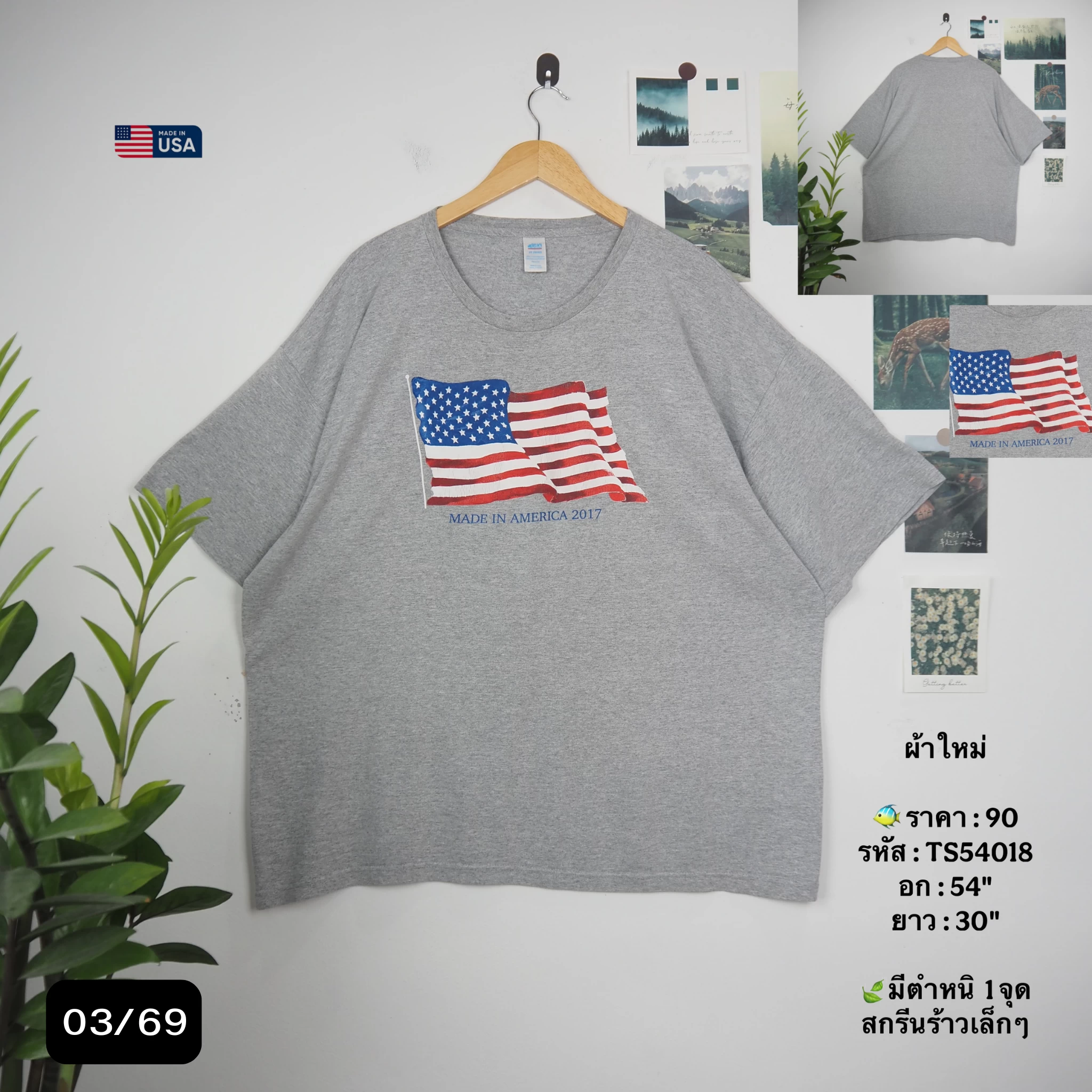 TS54018
