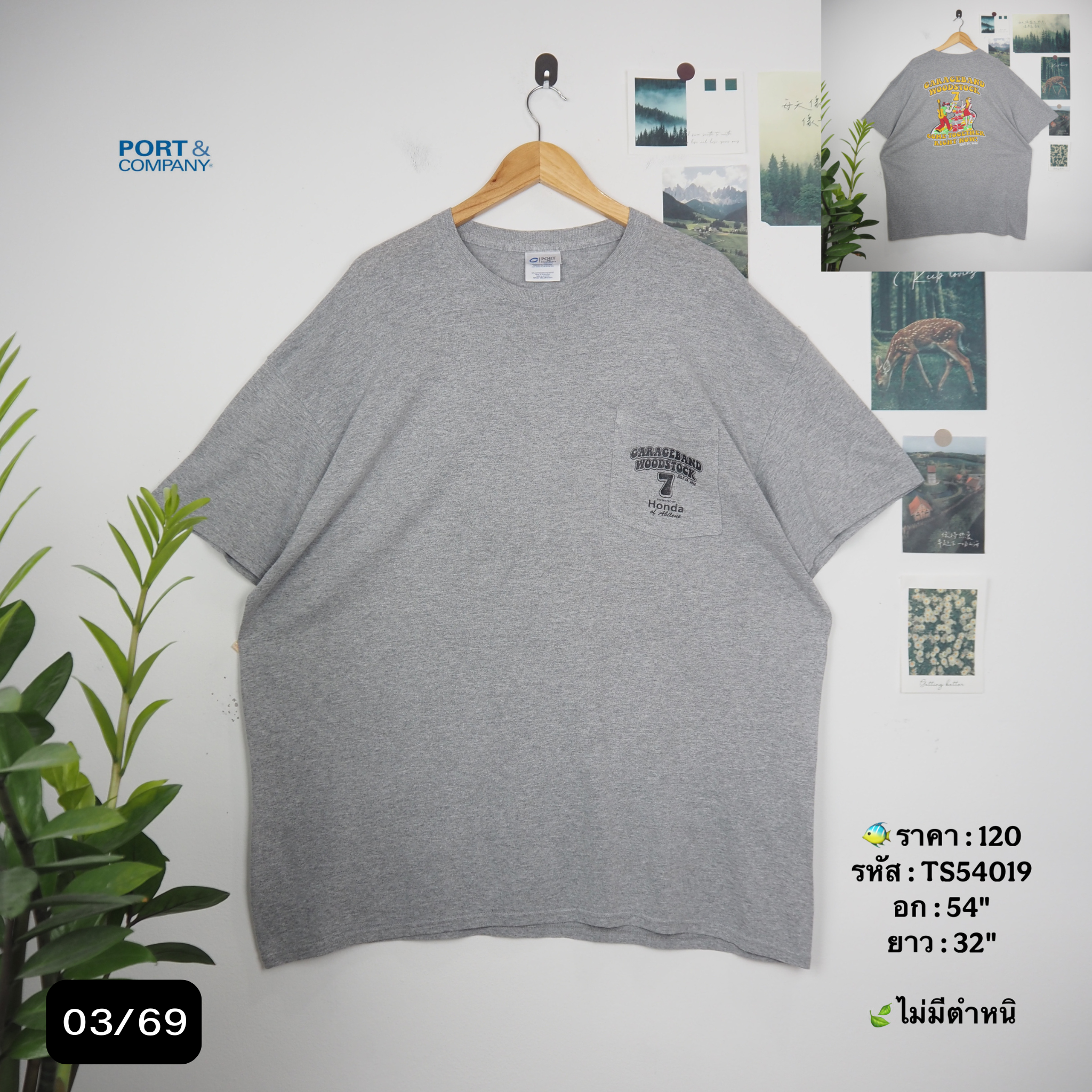 TS54019