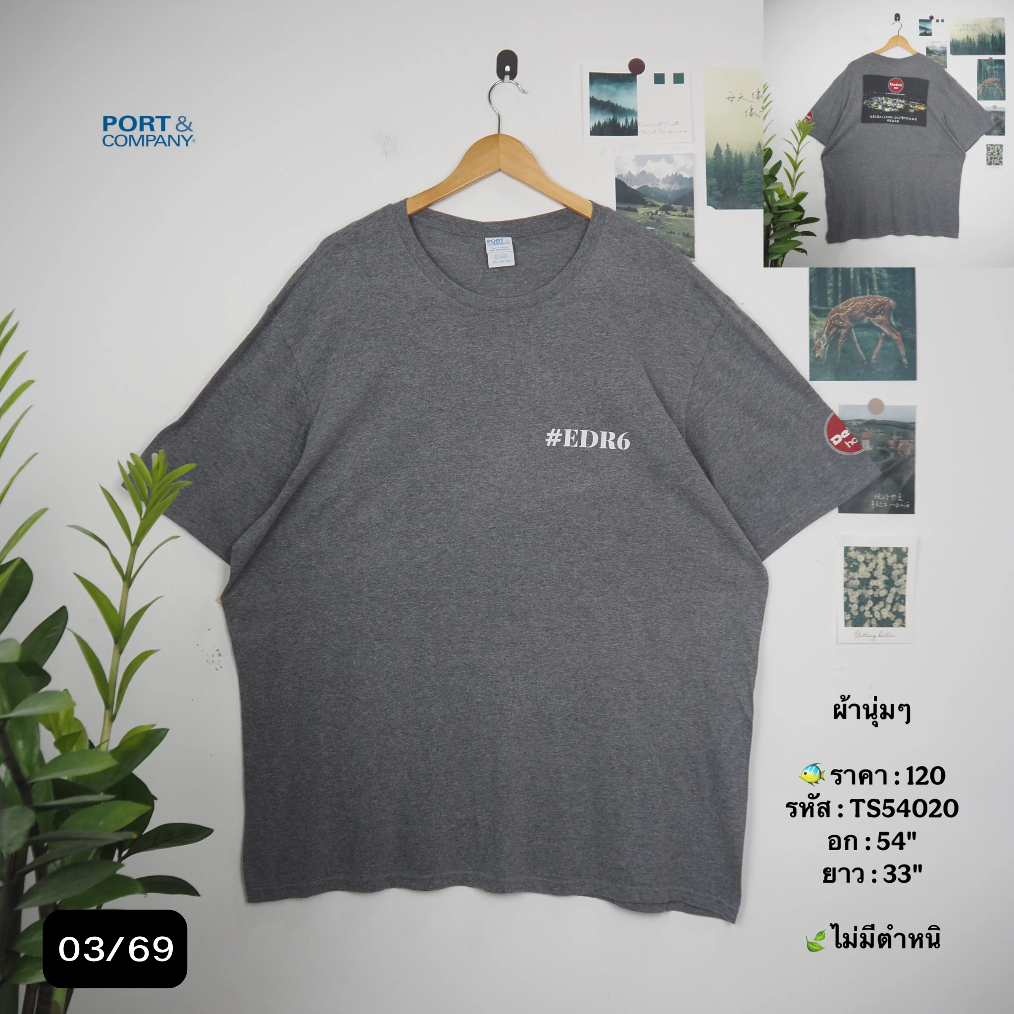 TS54020
