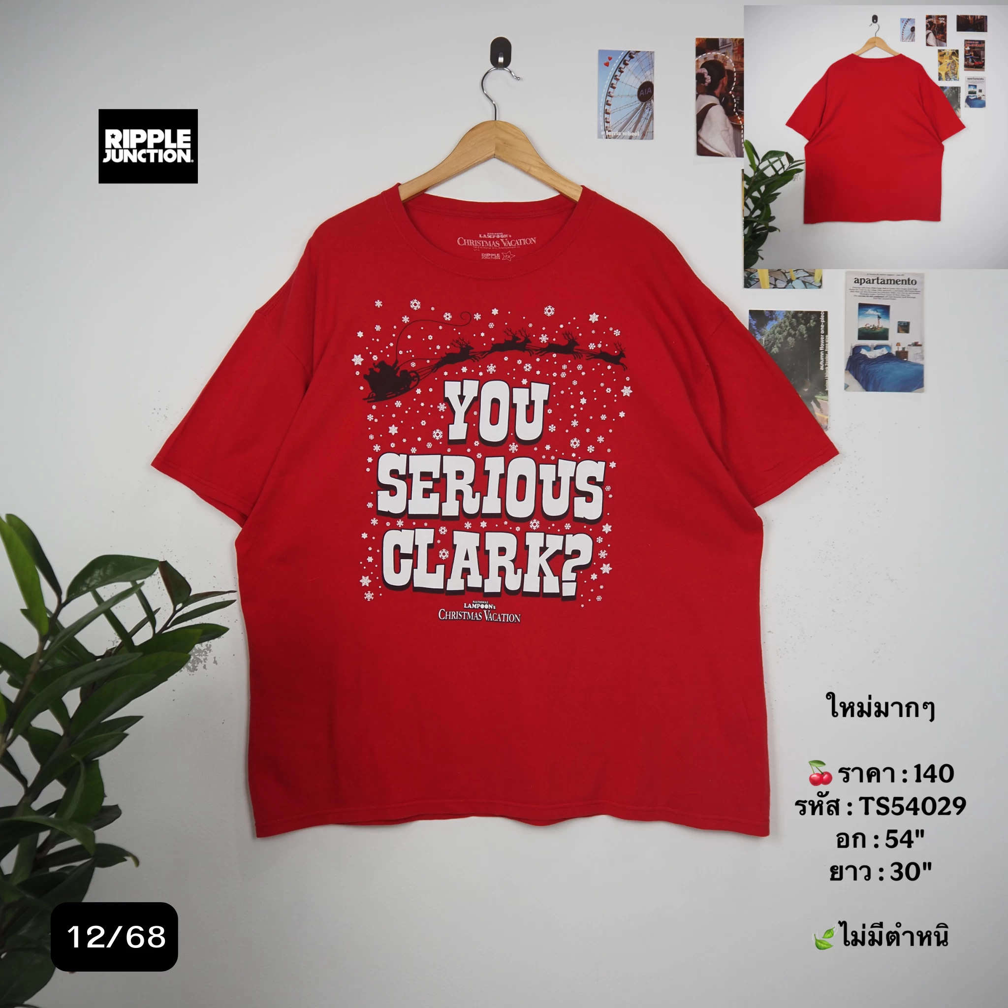 TS54029