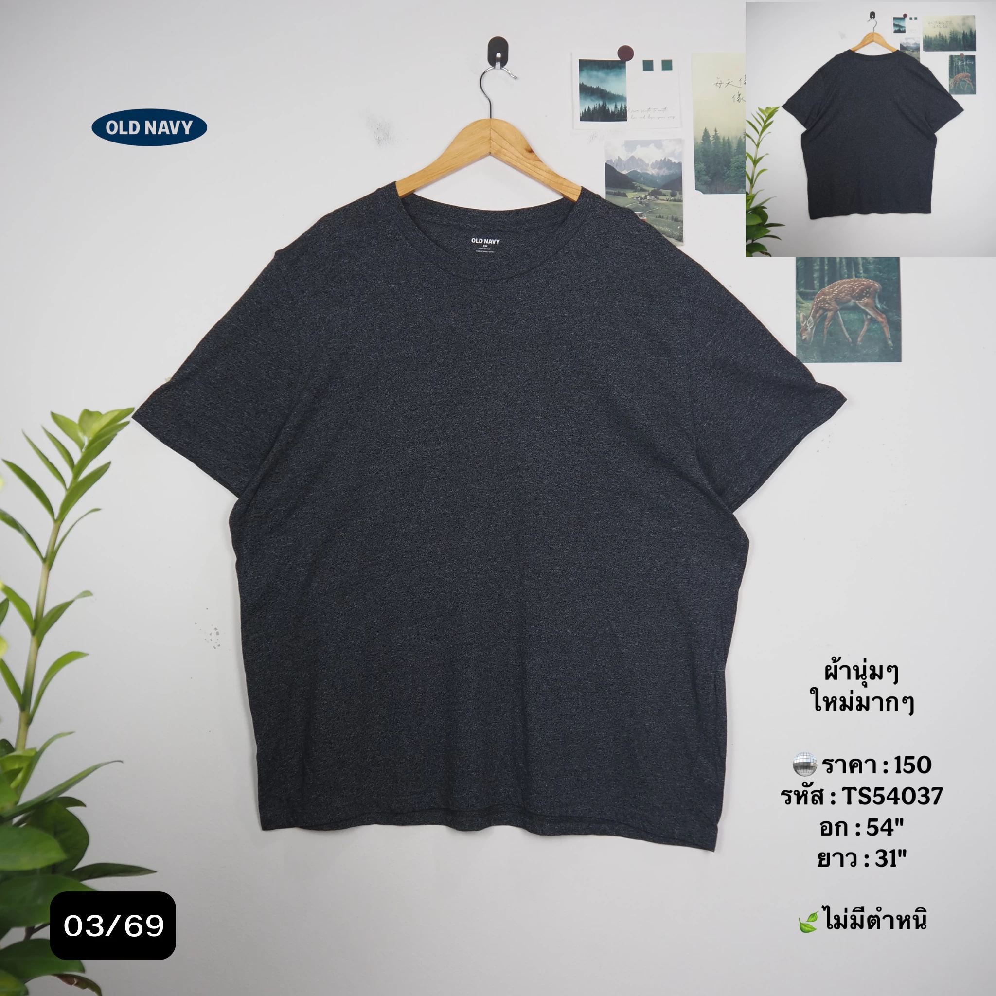 TS54037