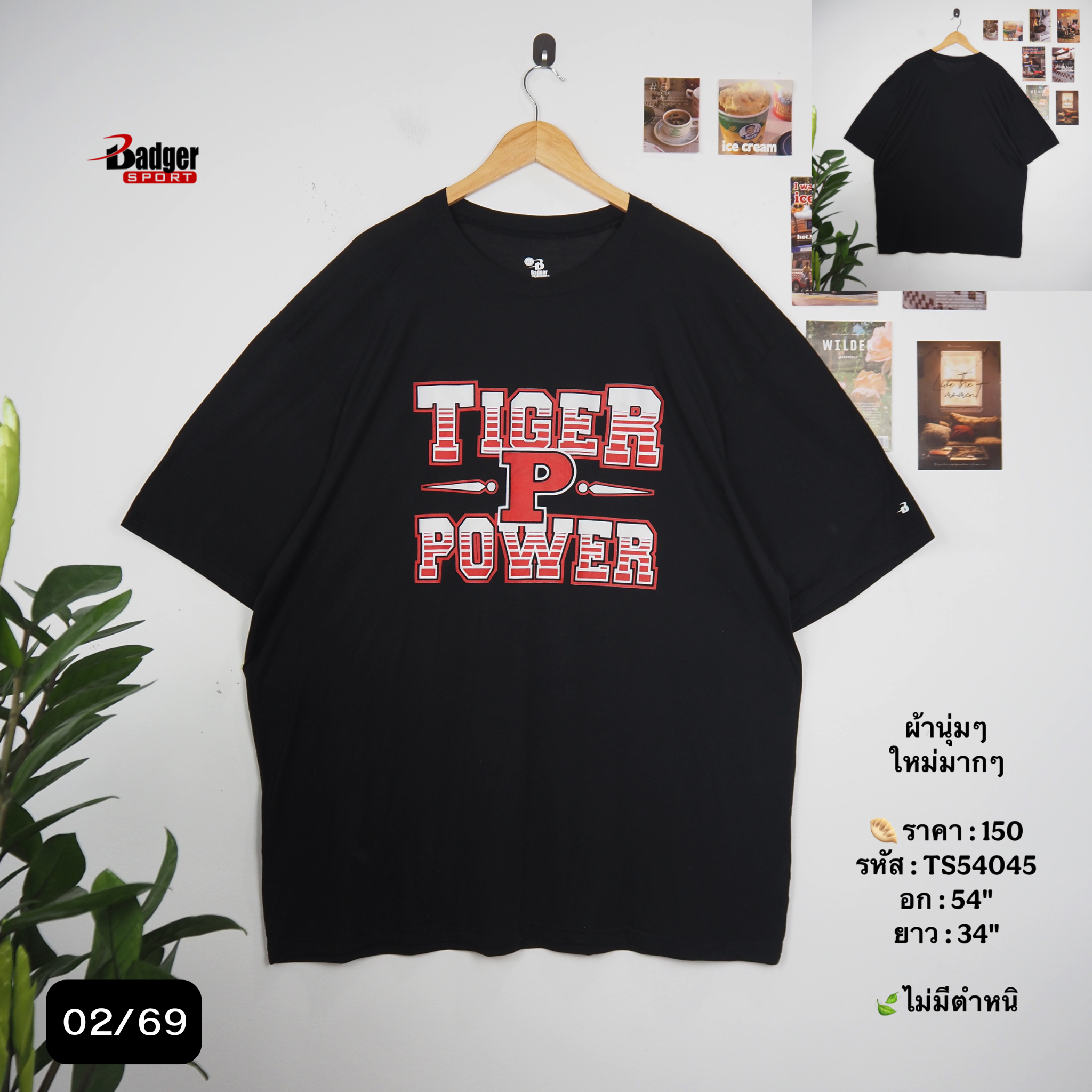 TS54045