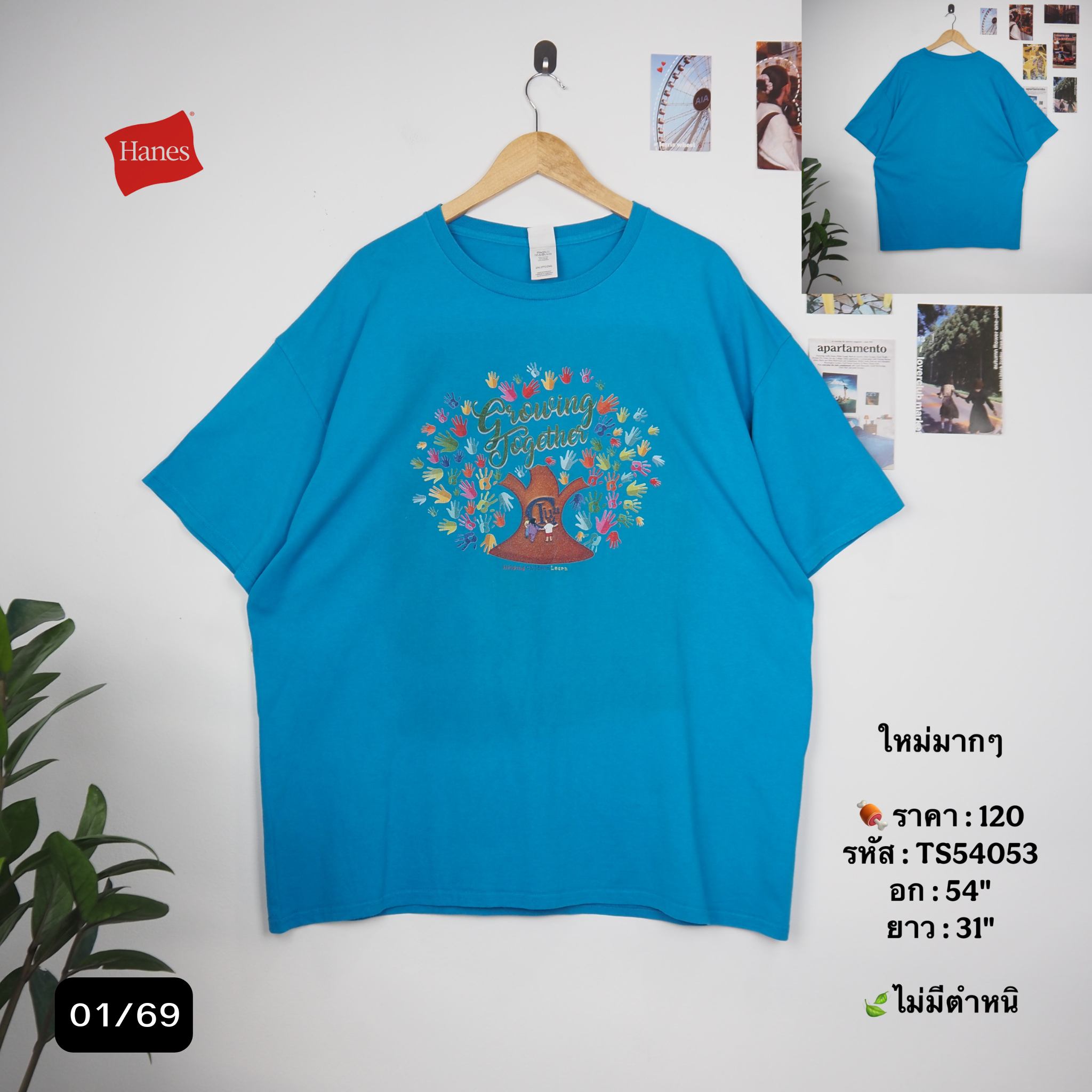 TS54053