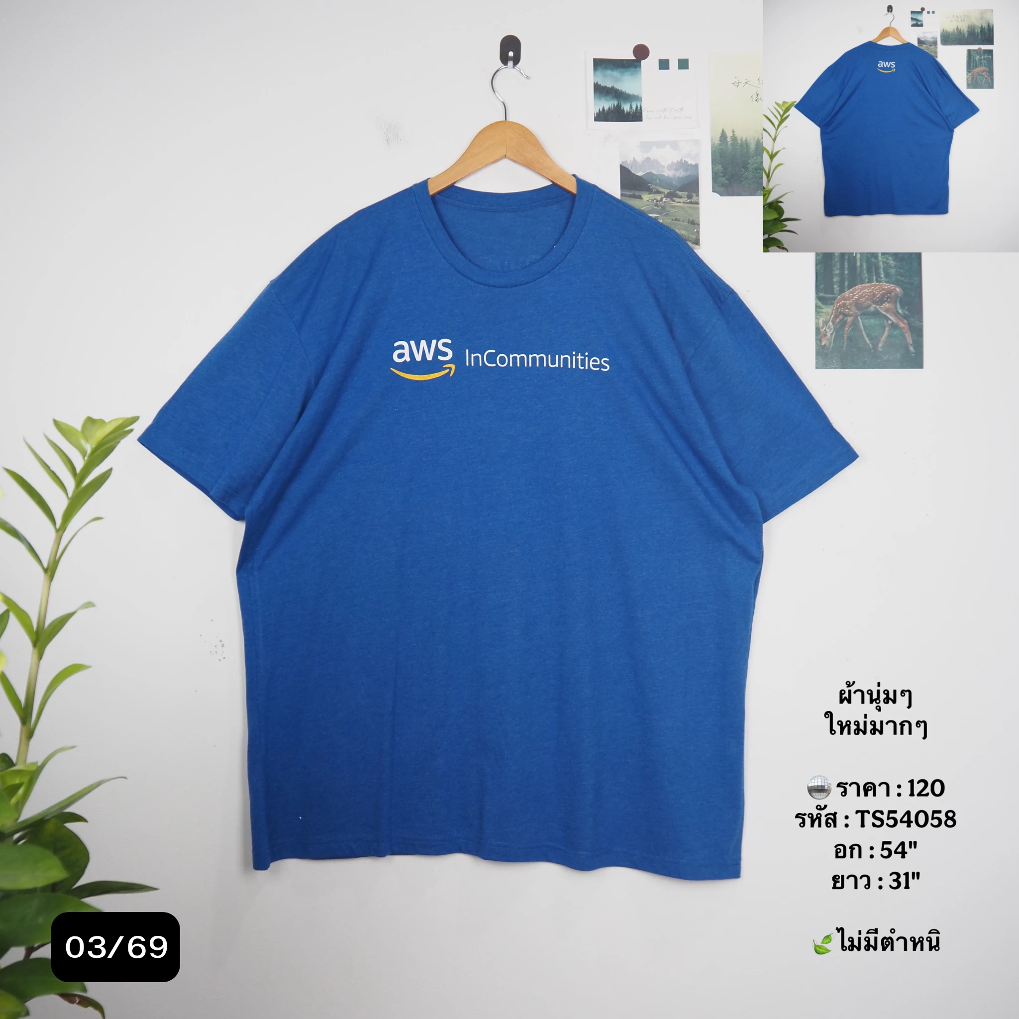 TS54058