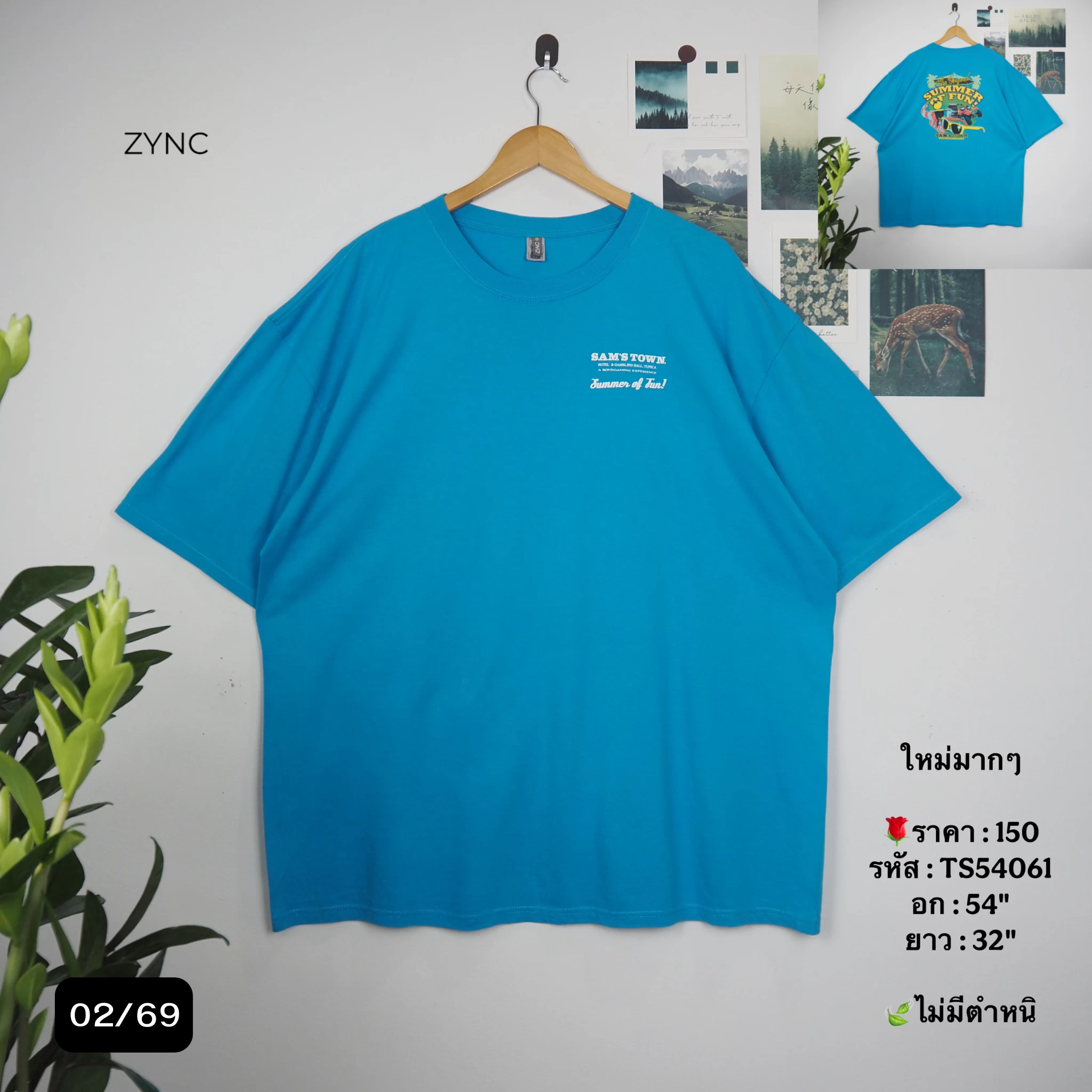 TS54061
