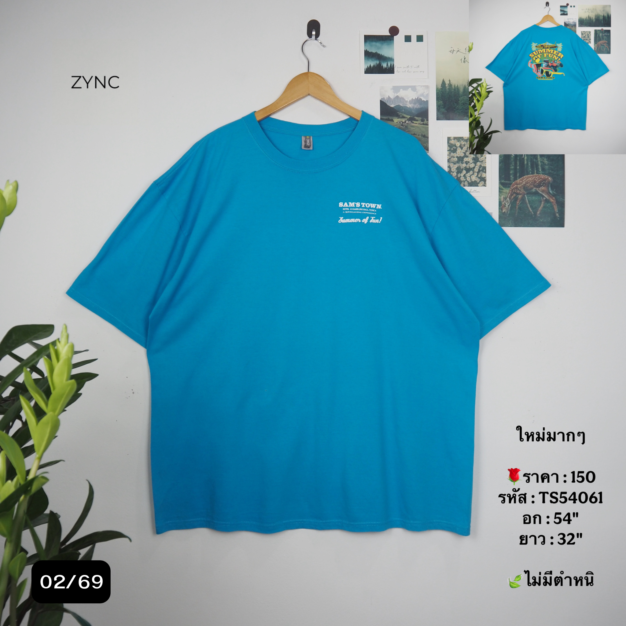 TS54061