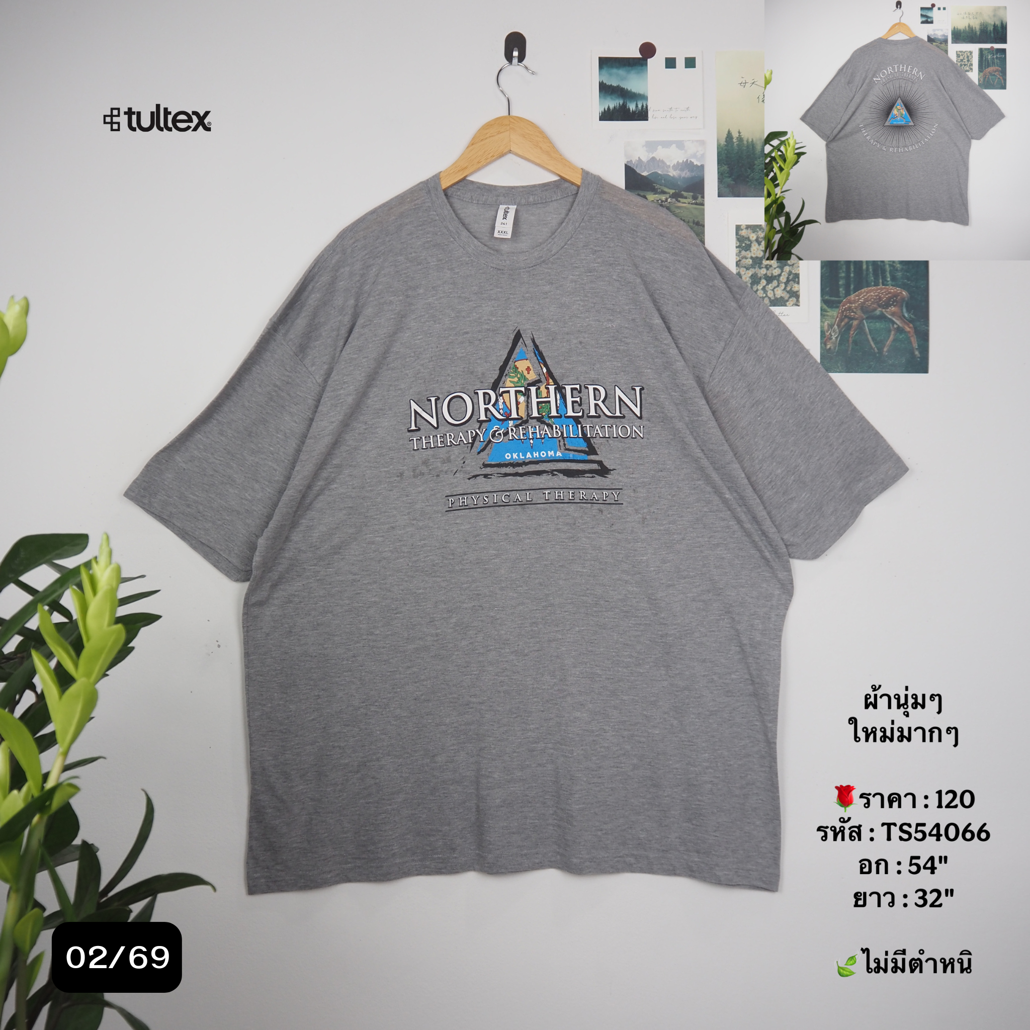 TS54066
