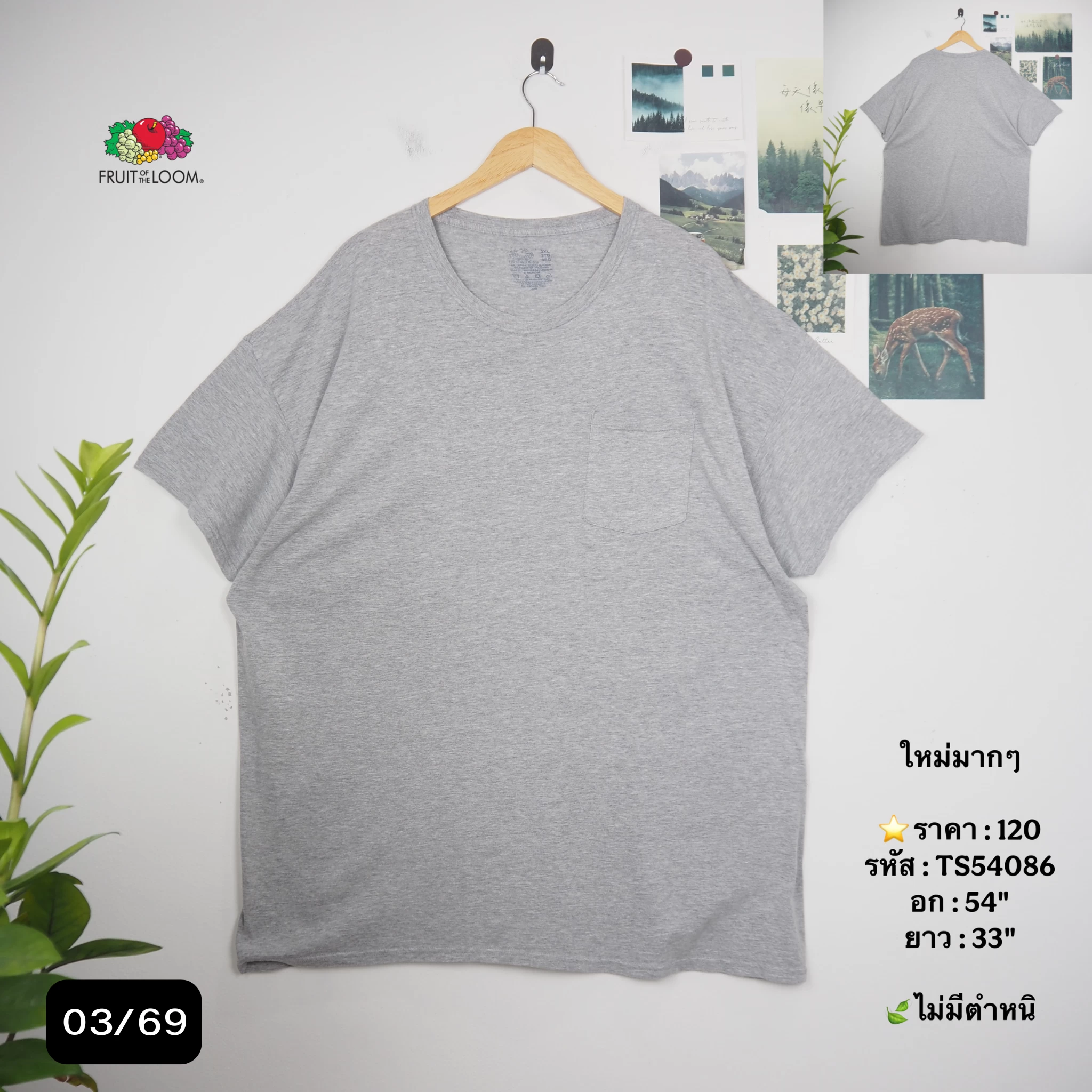 TS54086