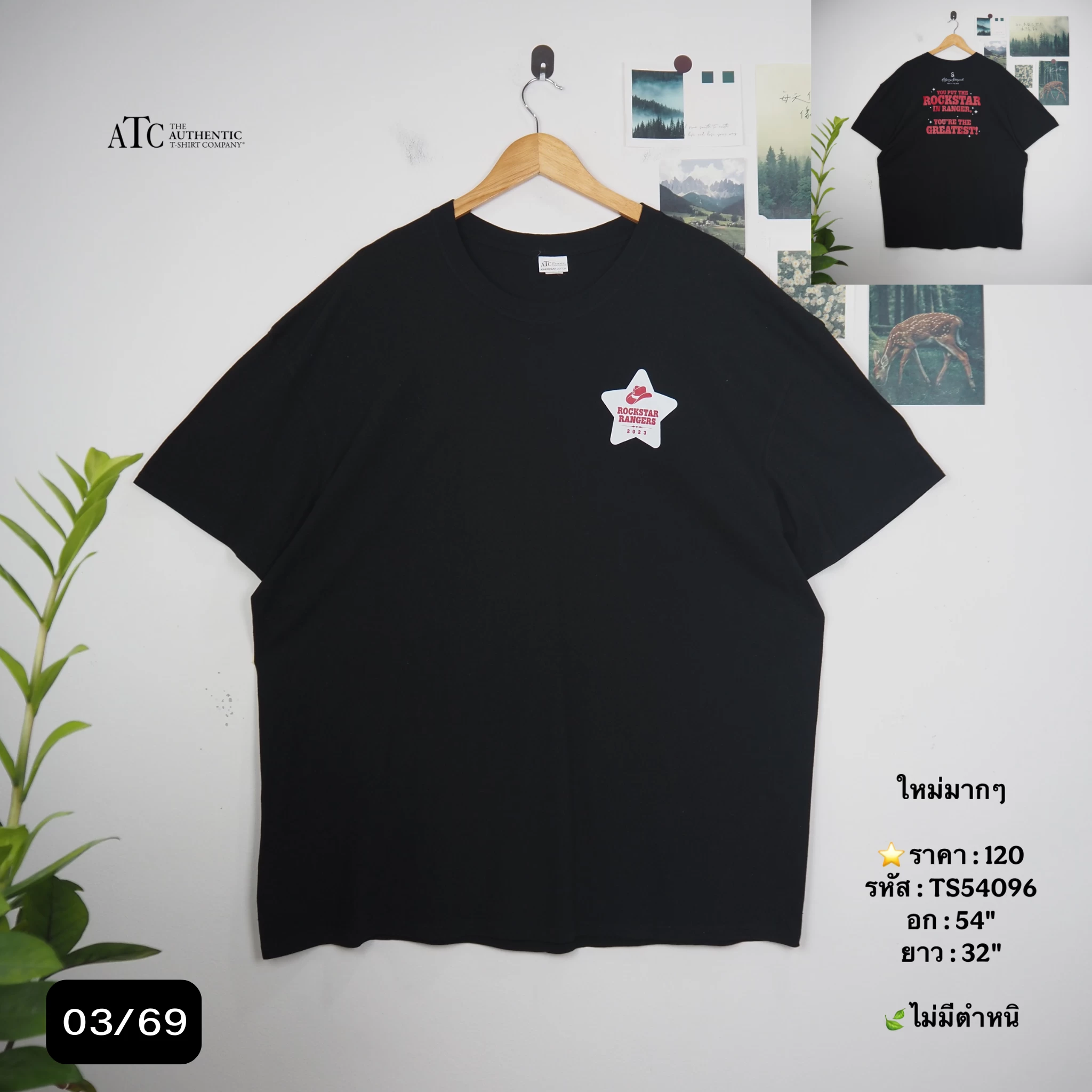 TS54096