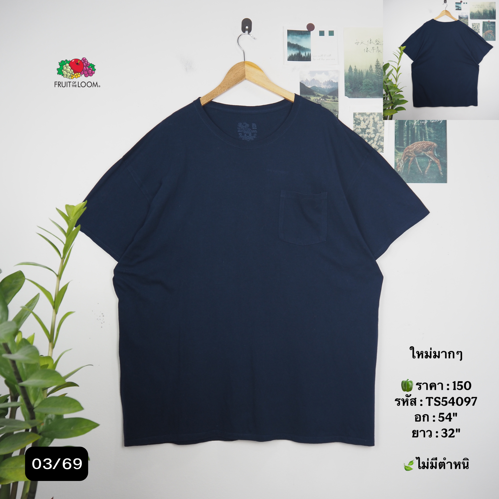 TS54097