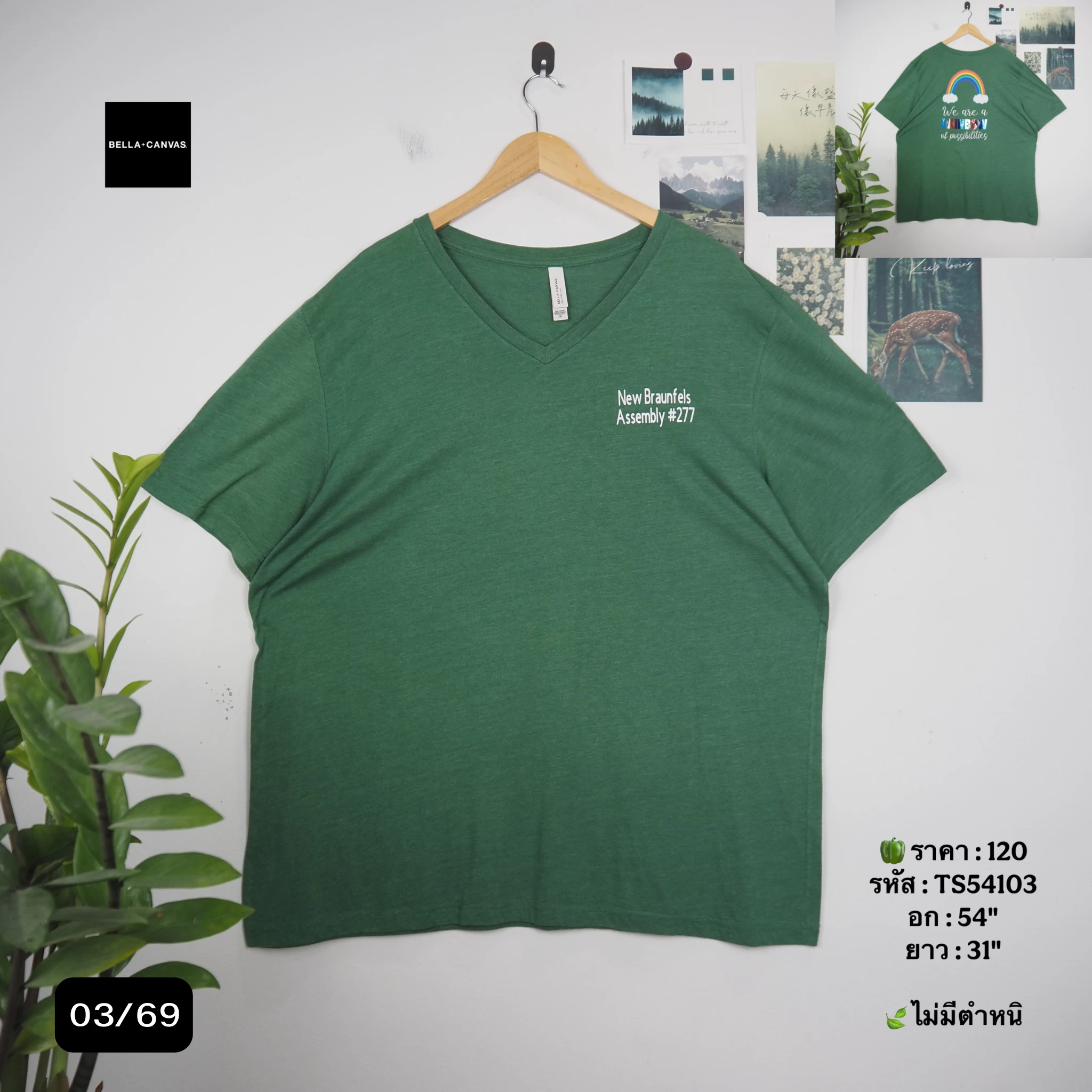 TS54103