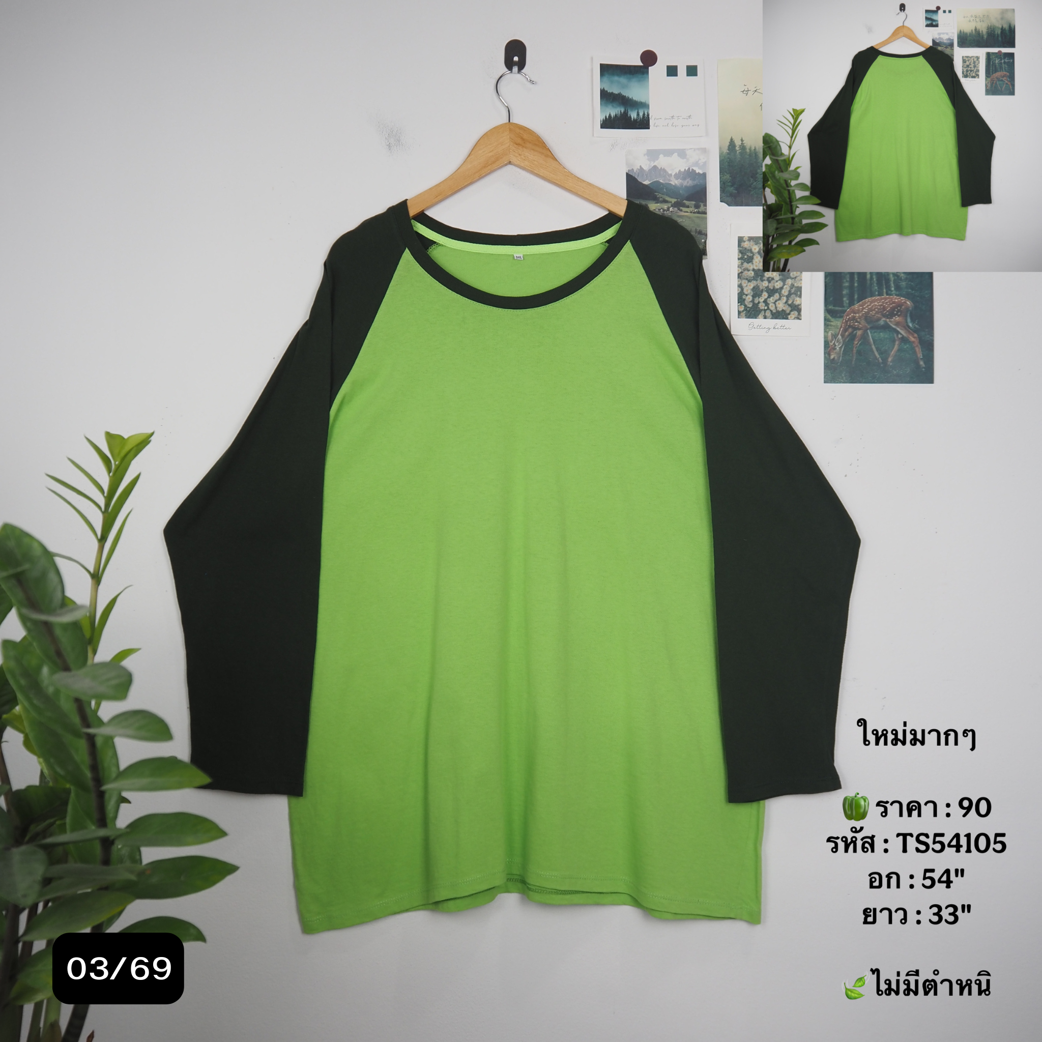 TS54105