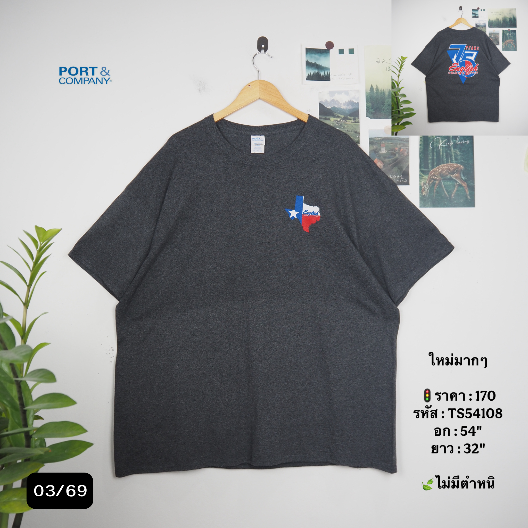 TS54108
