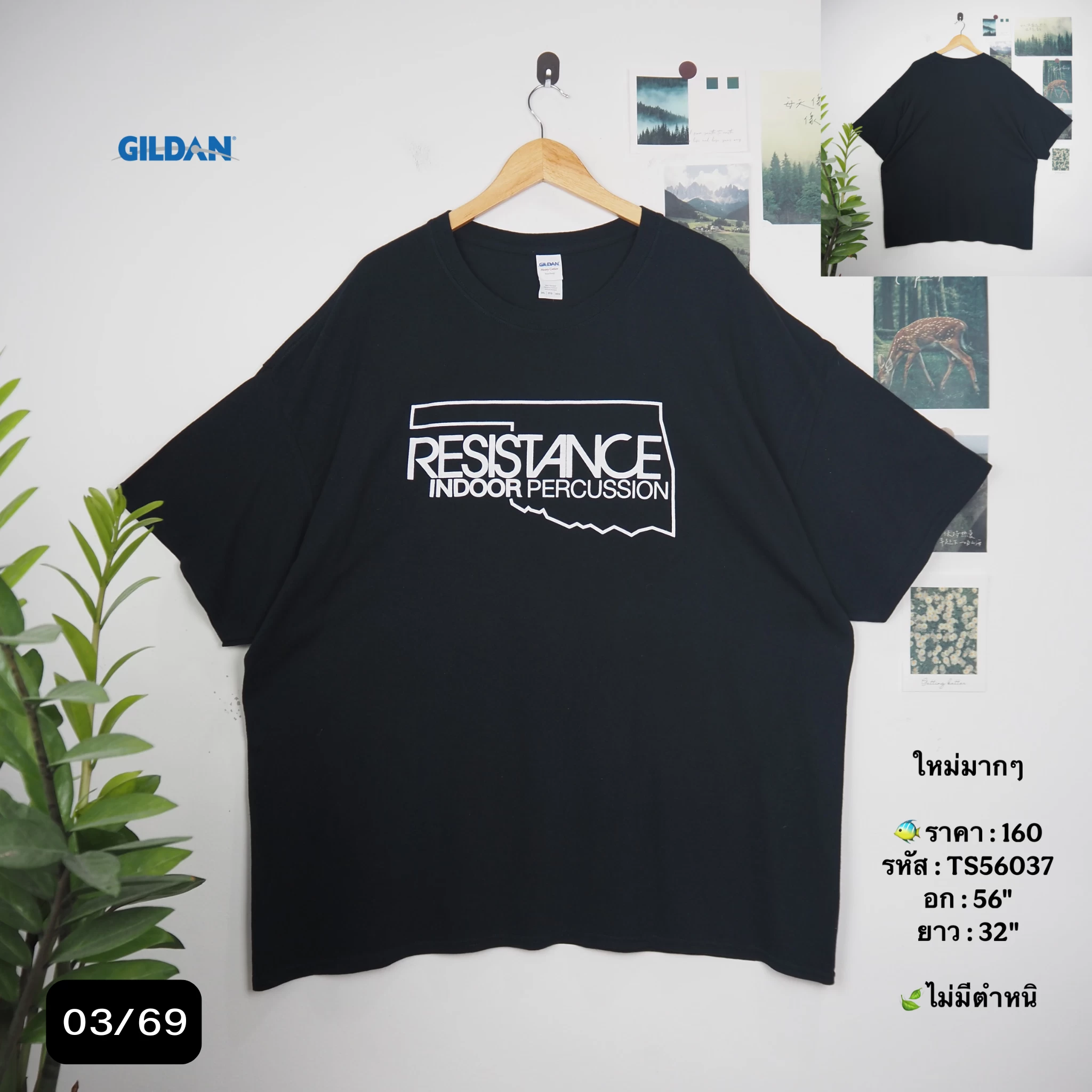 TS56037