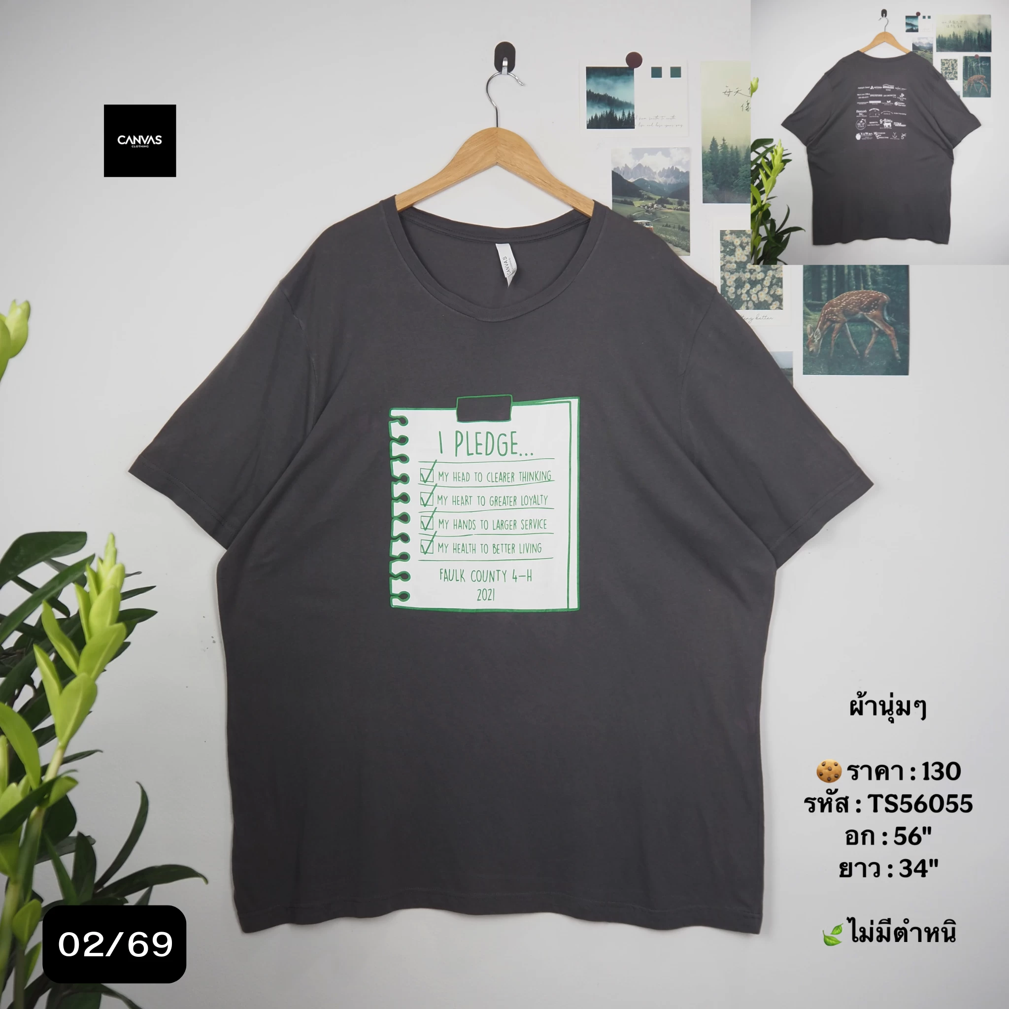 TS56055