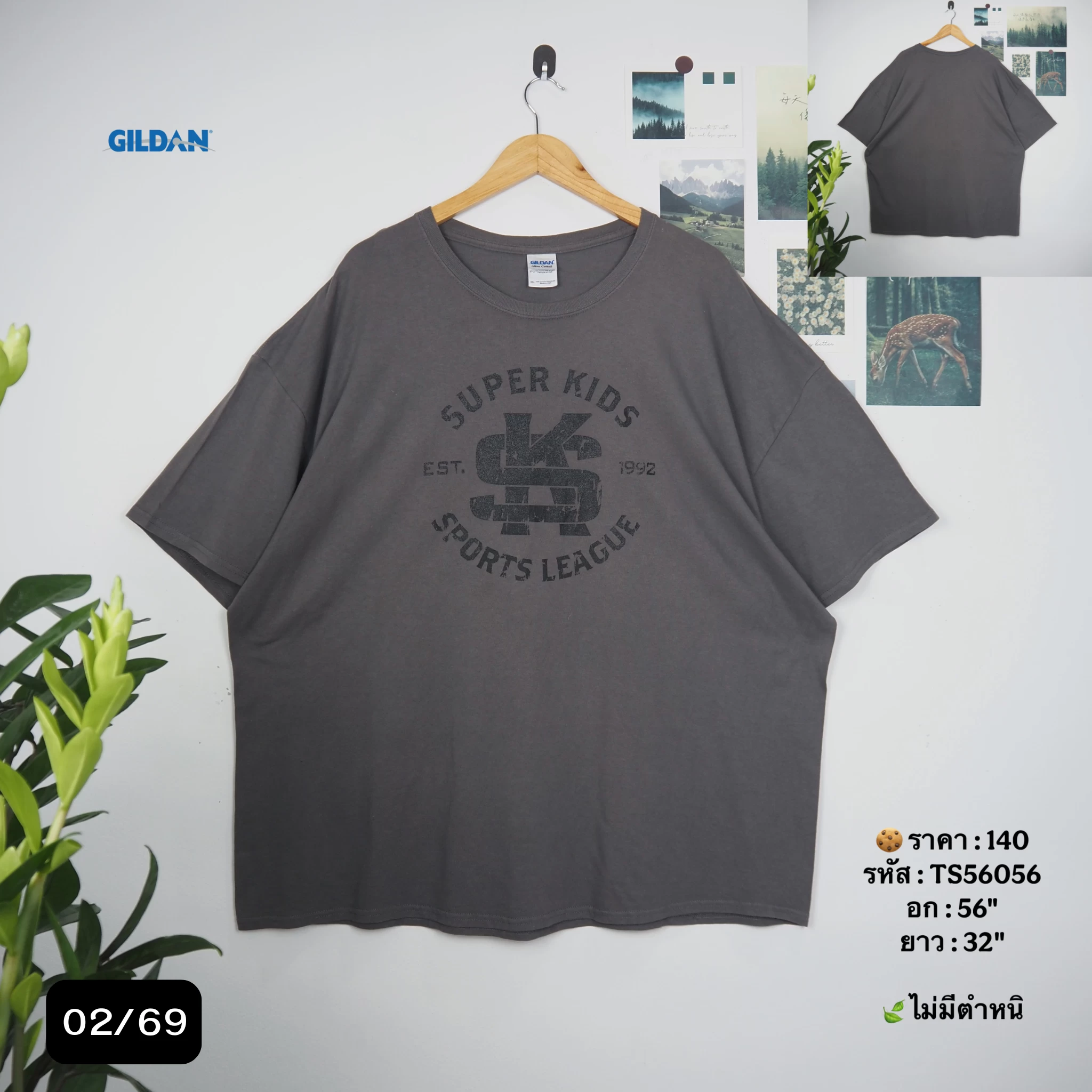 TS56056