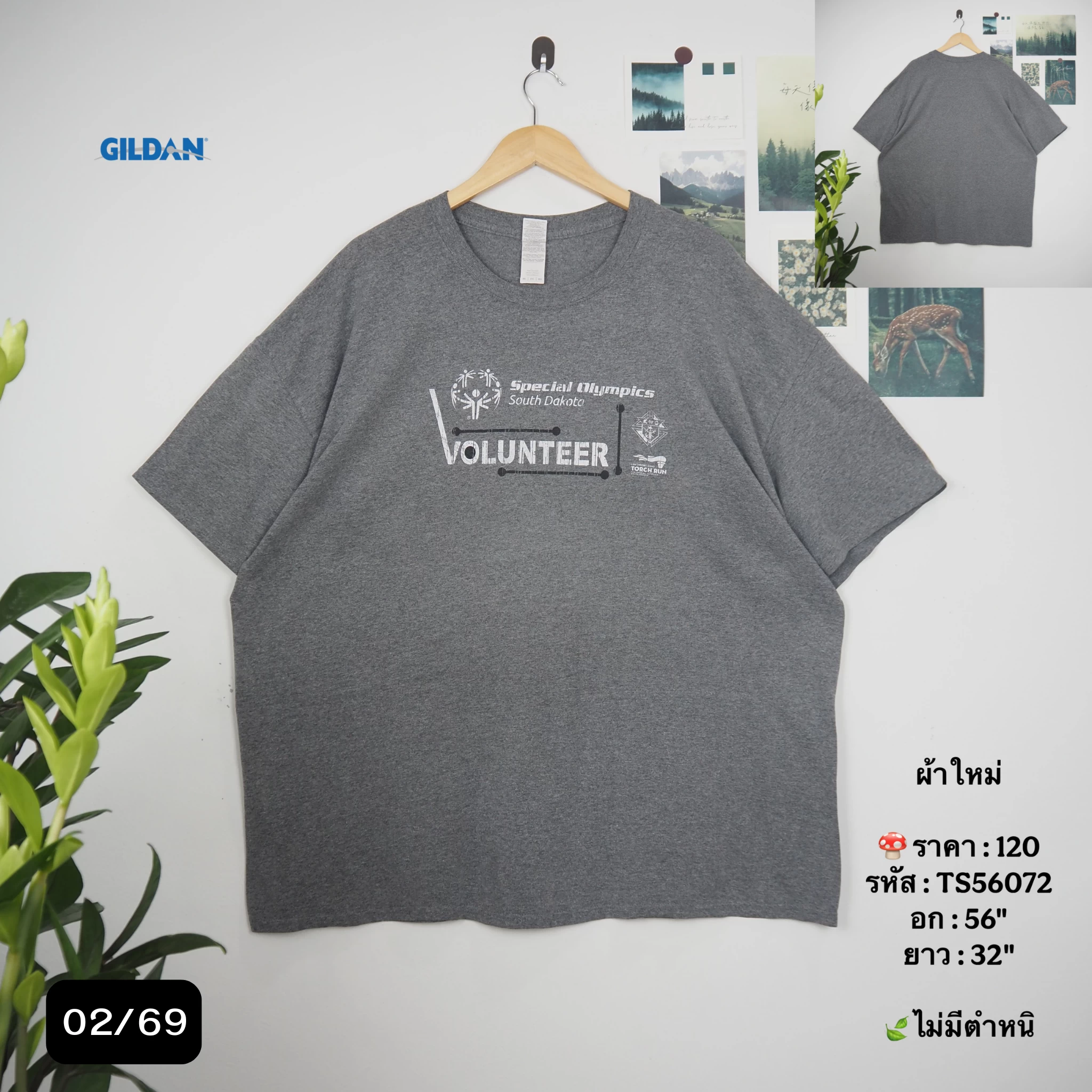 TS56072