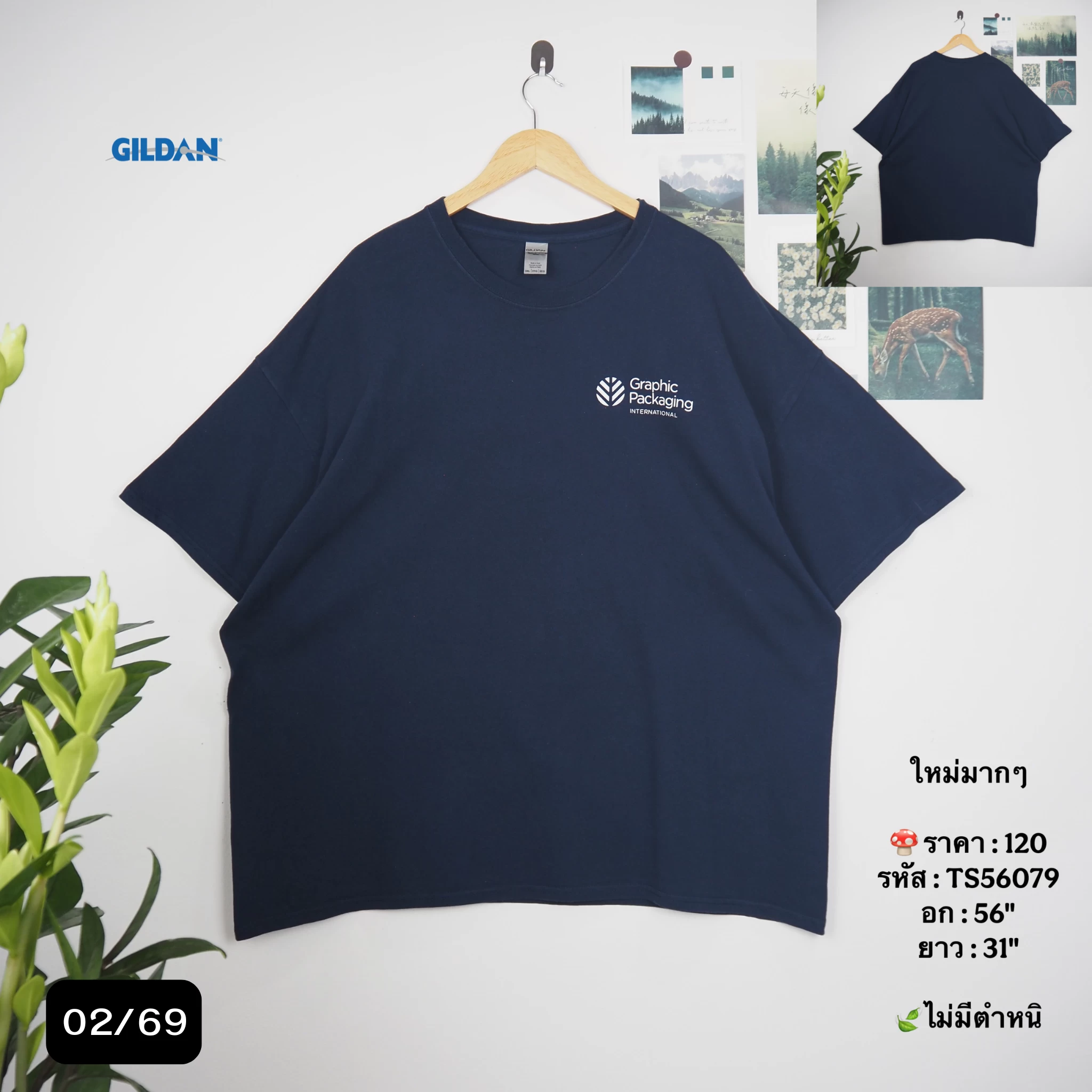 TS56079