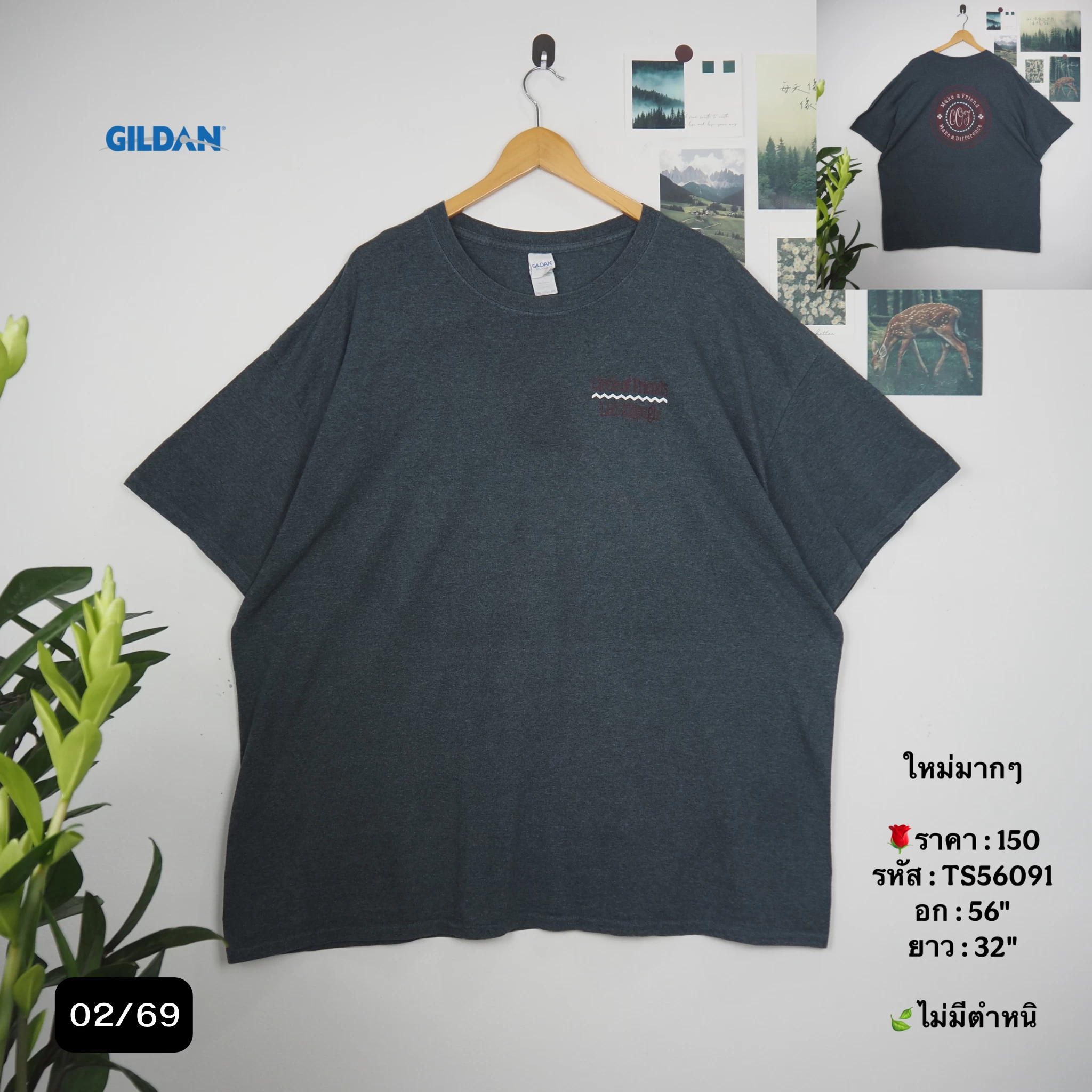 TS56091