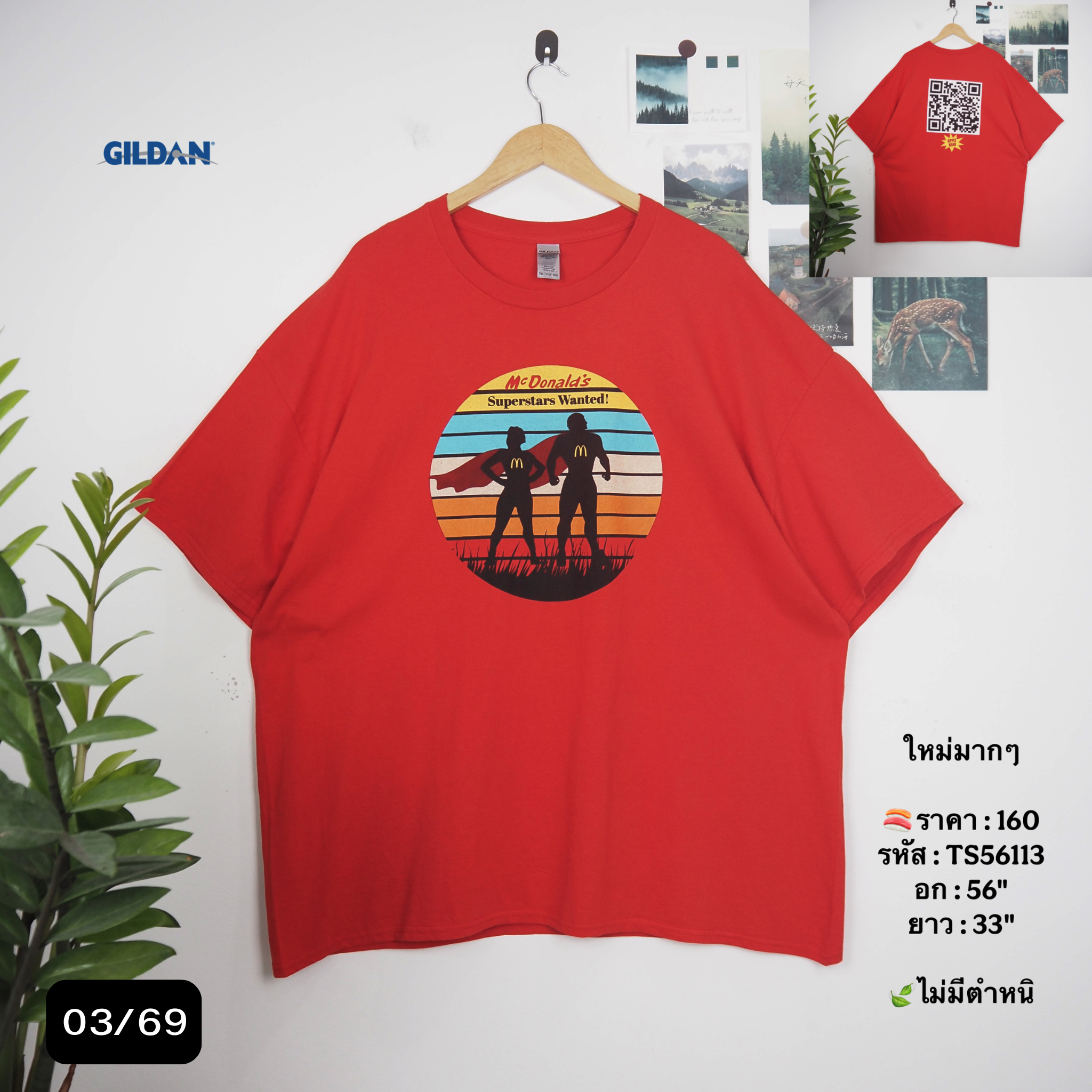 TS56113