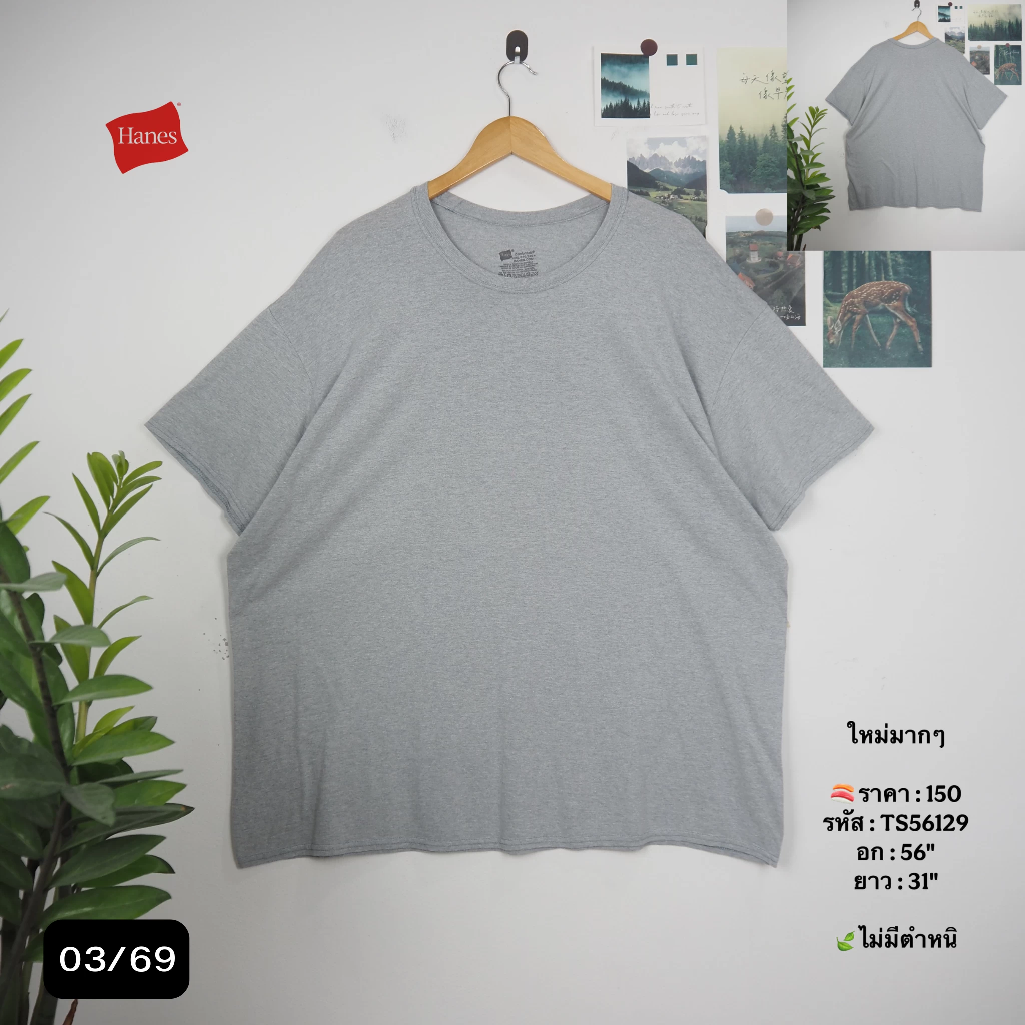 TS56129