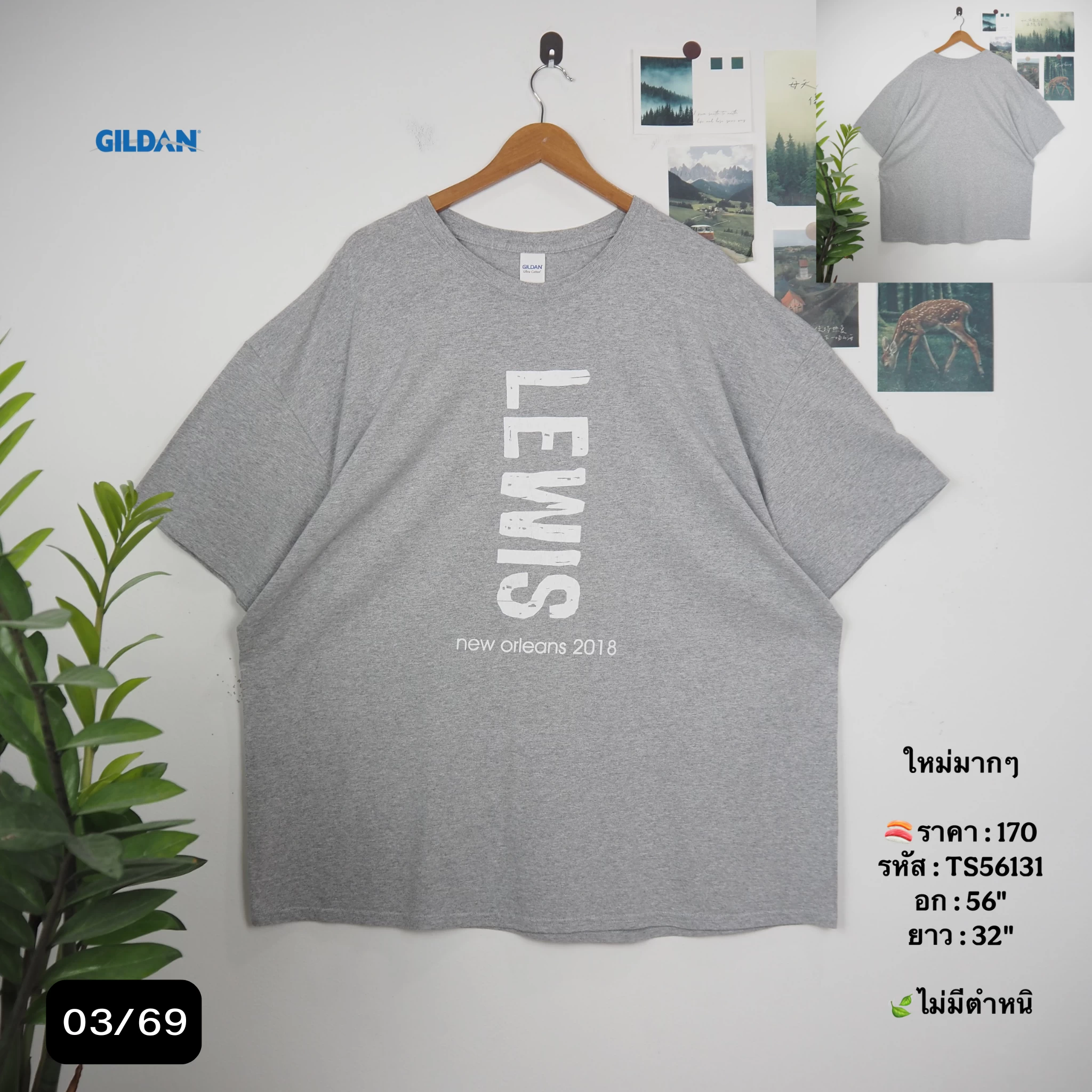 TS56131