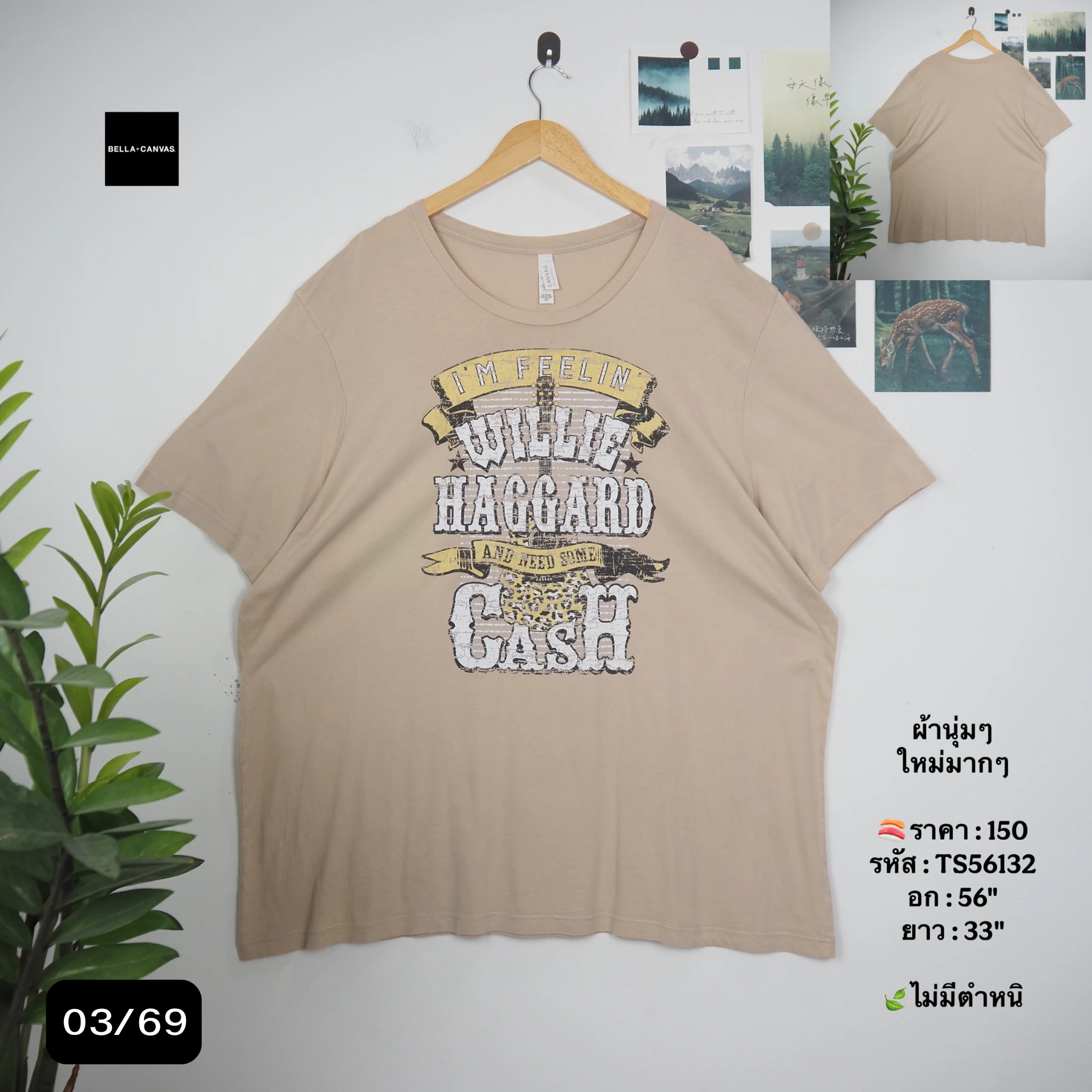 TS56132