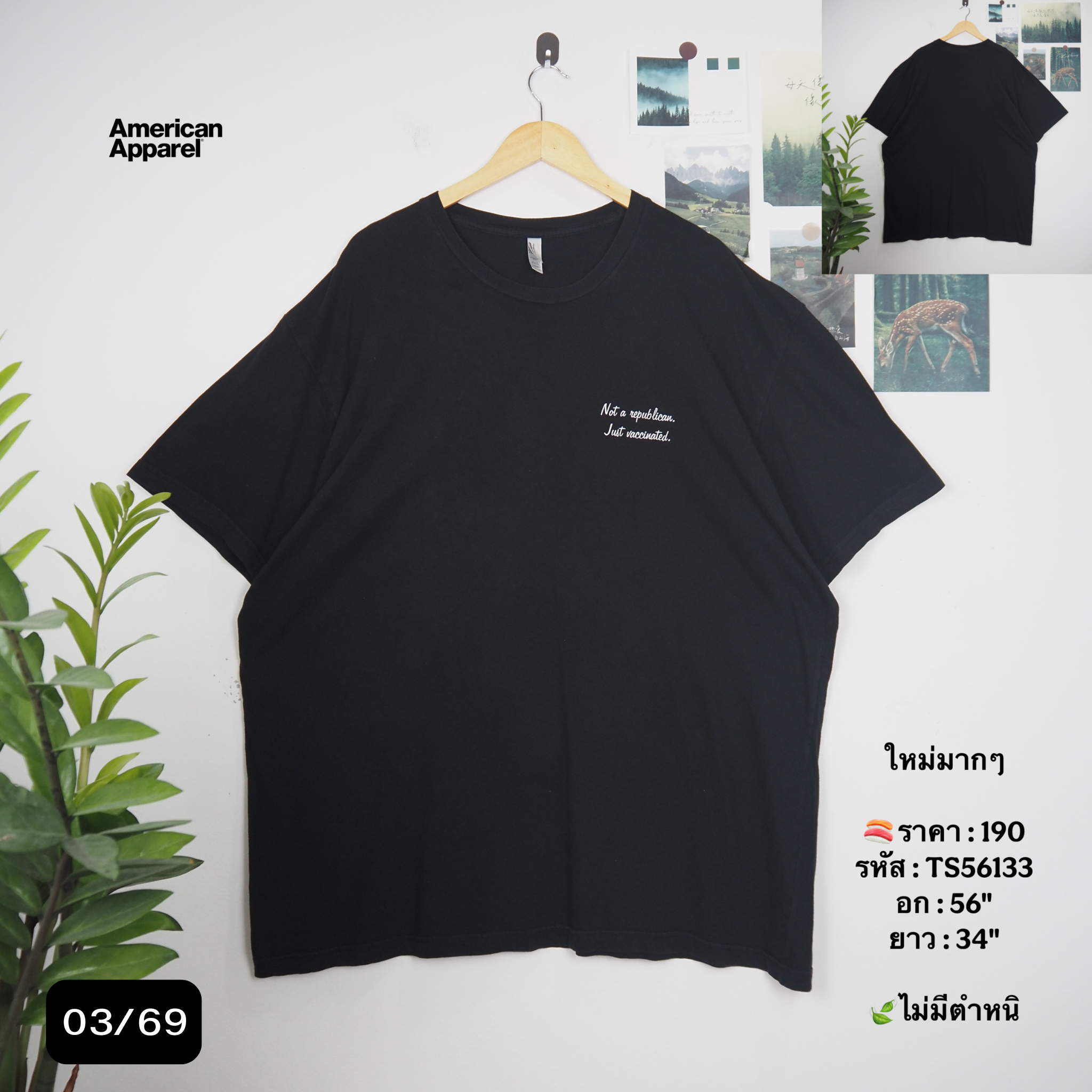 TS56133
