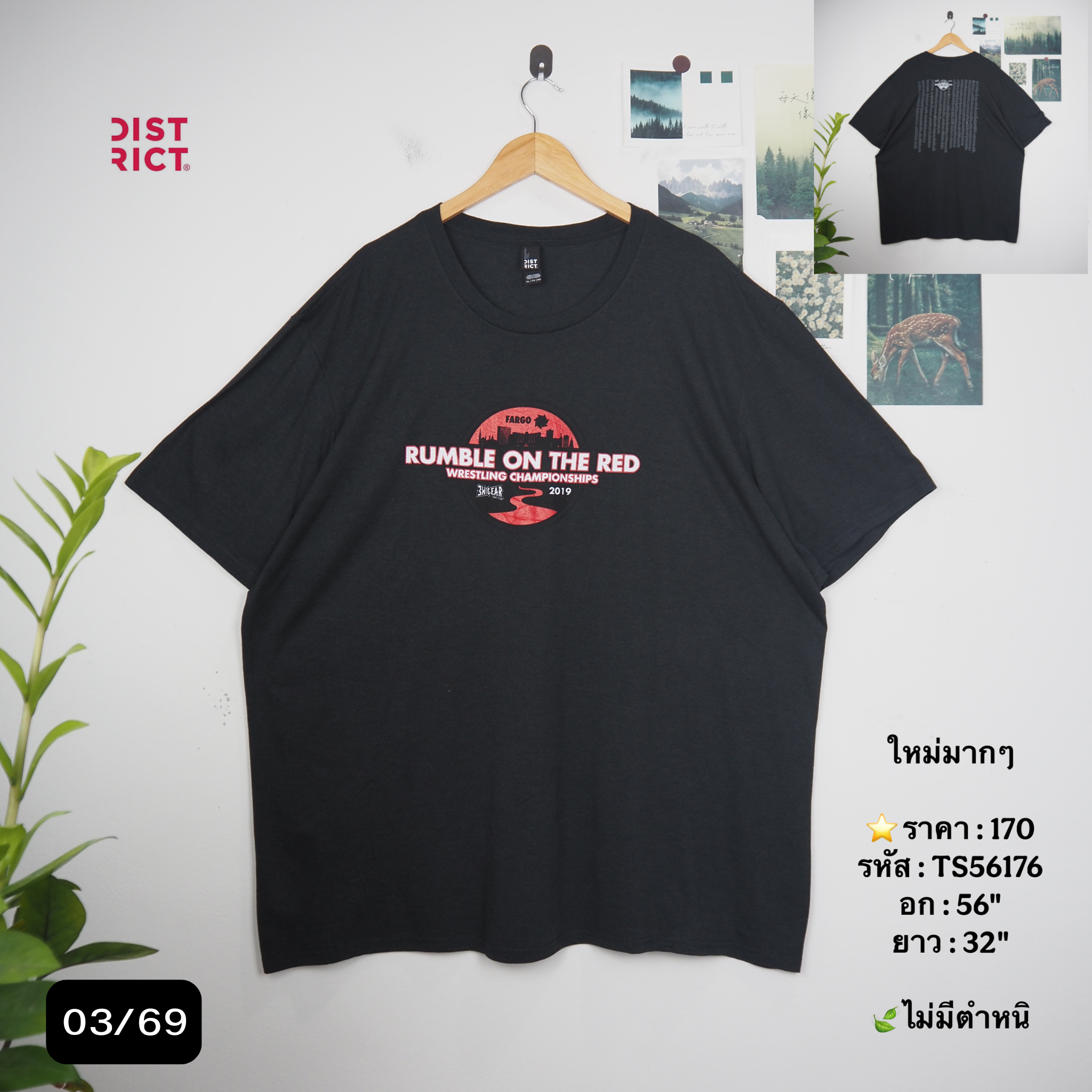 TS56176