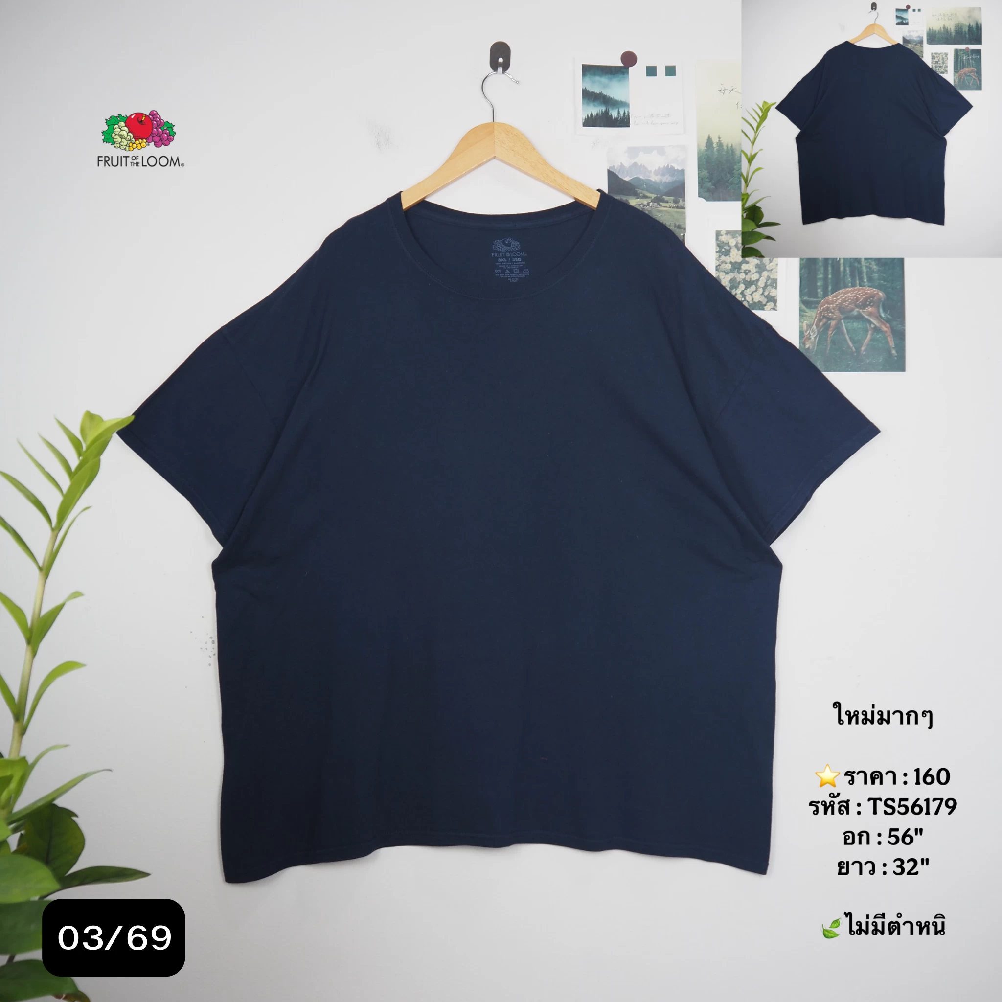 TS56179